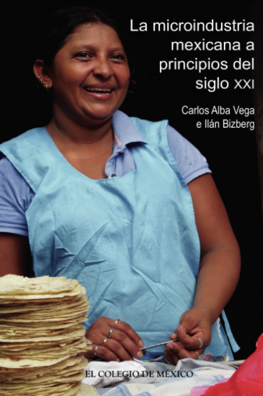 La microindustria mexicana a principios del siglo XXI book