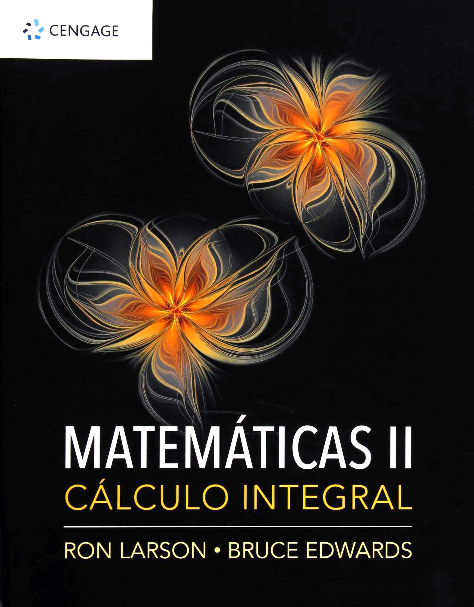 Matematicas II: Calculo integral: Clculo integral Mathematics