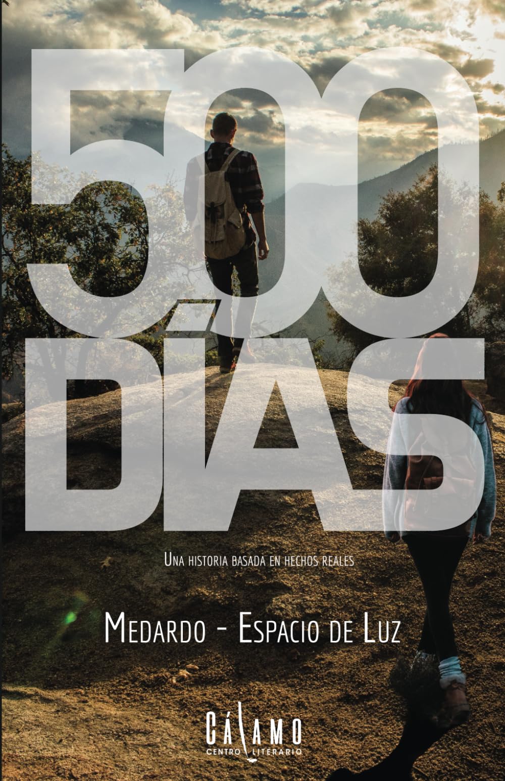 500 días: Una historia basada en hechos reales Art & Literature