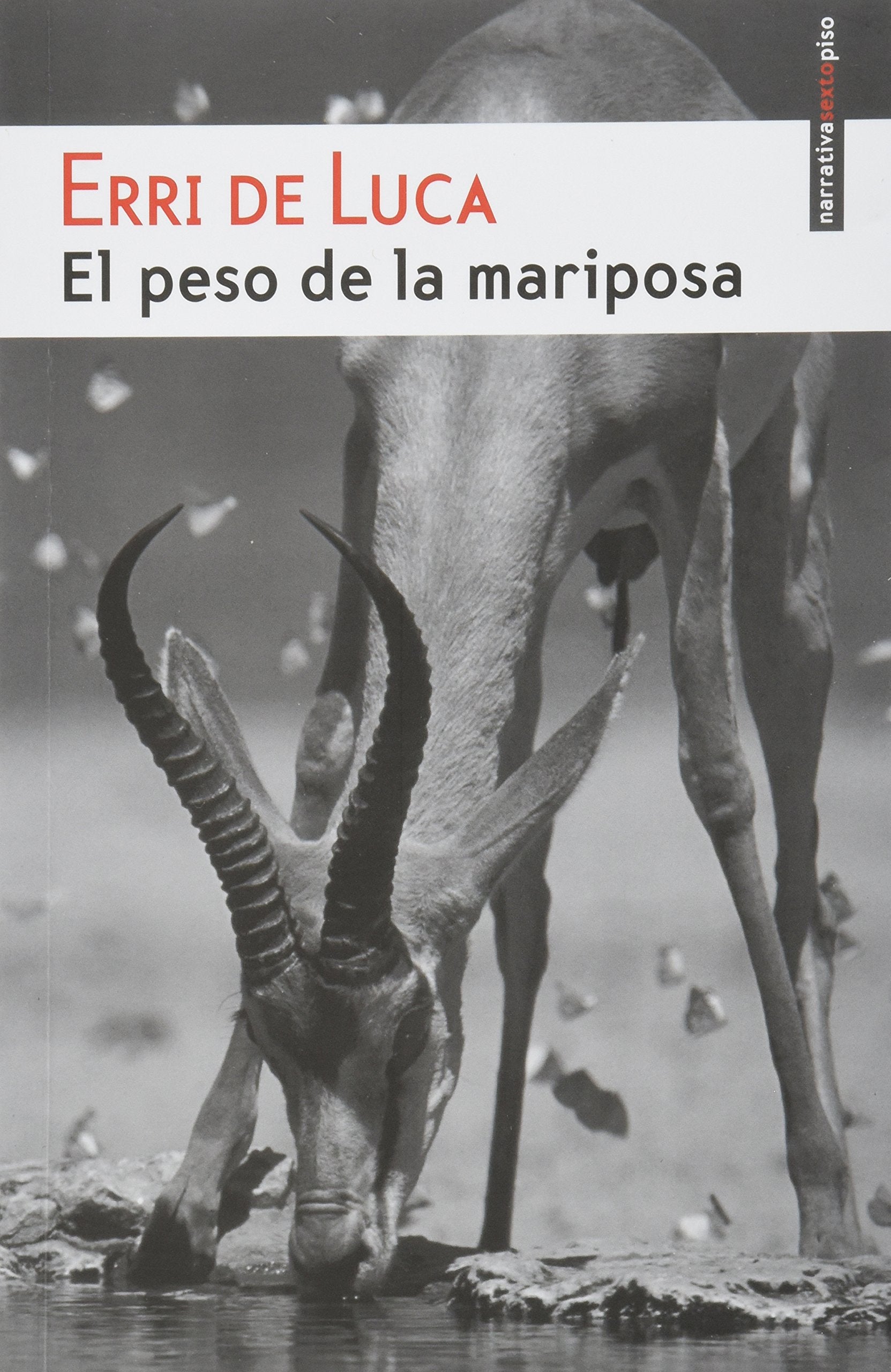 Peso de la mariposa, El book
