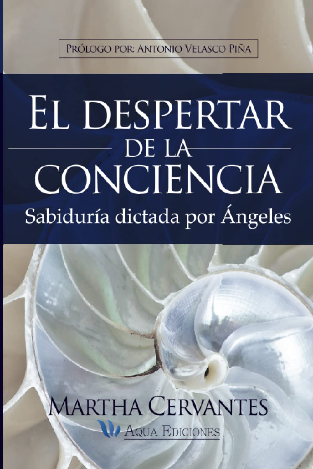 El despertar de la conciencia: Sabiduría dictada por Ángeles Self-help