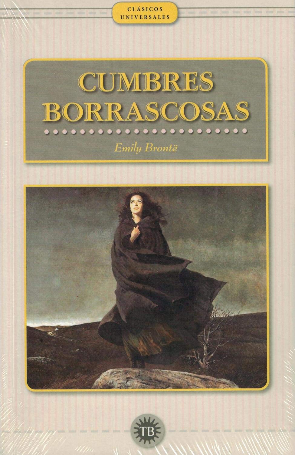 CUMBRES BORRASCOSAS (Temario específico Auxiliares Administrativos del Servicio Andaluz de Salud (OC)) Books