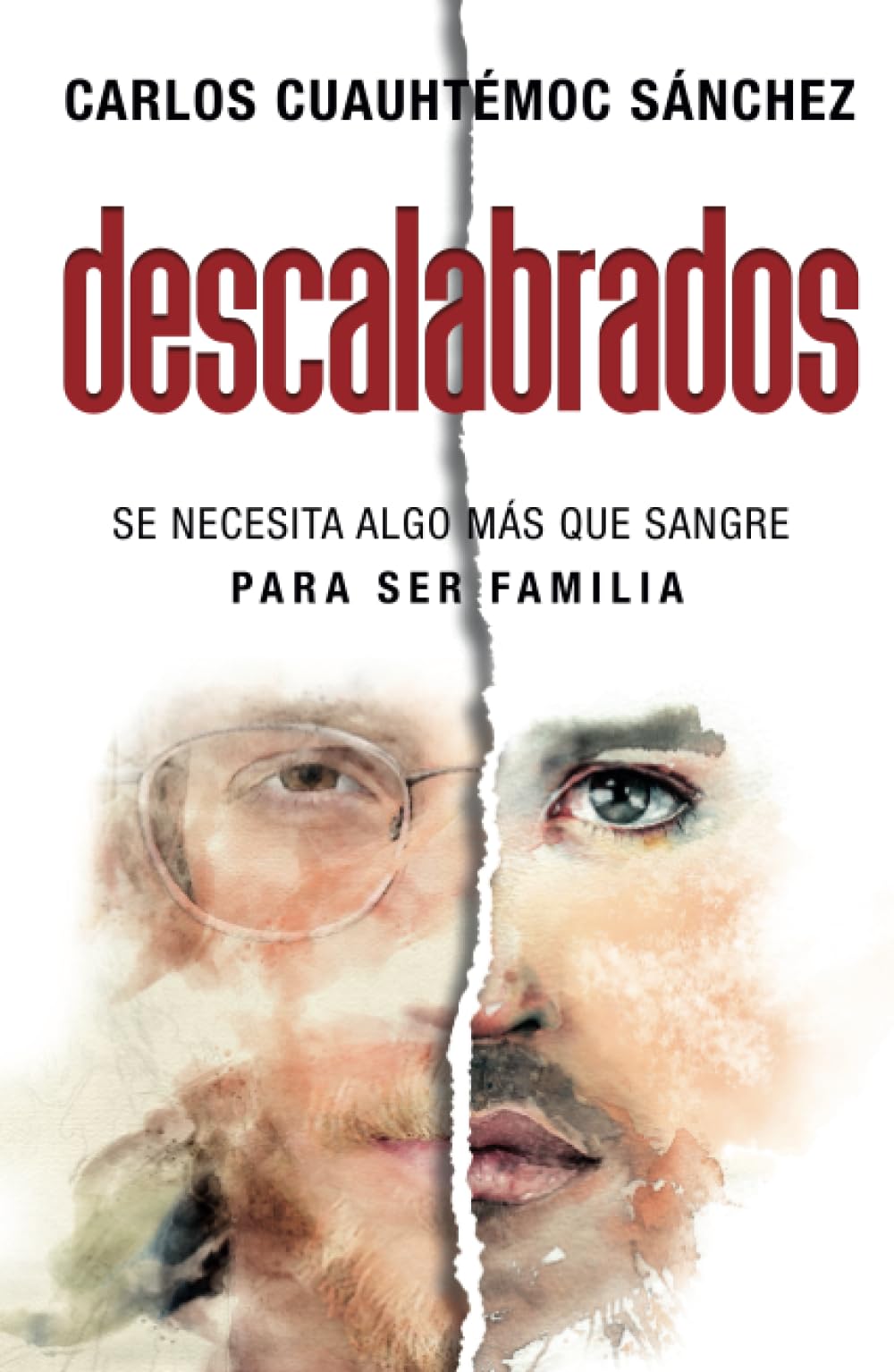Descalabrados: Se necesita algo más que sangre para ser familia. Business, Finance & Career