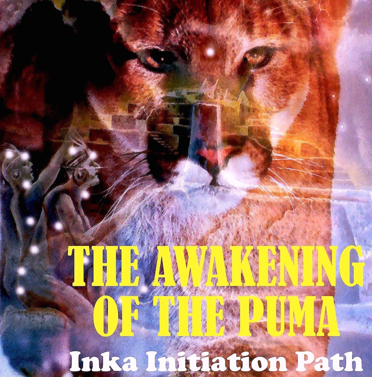 The Awakening of the Puma - Inka Initiation Path ( Books