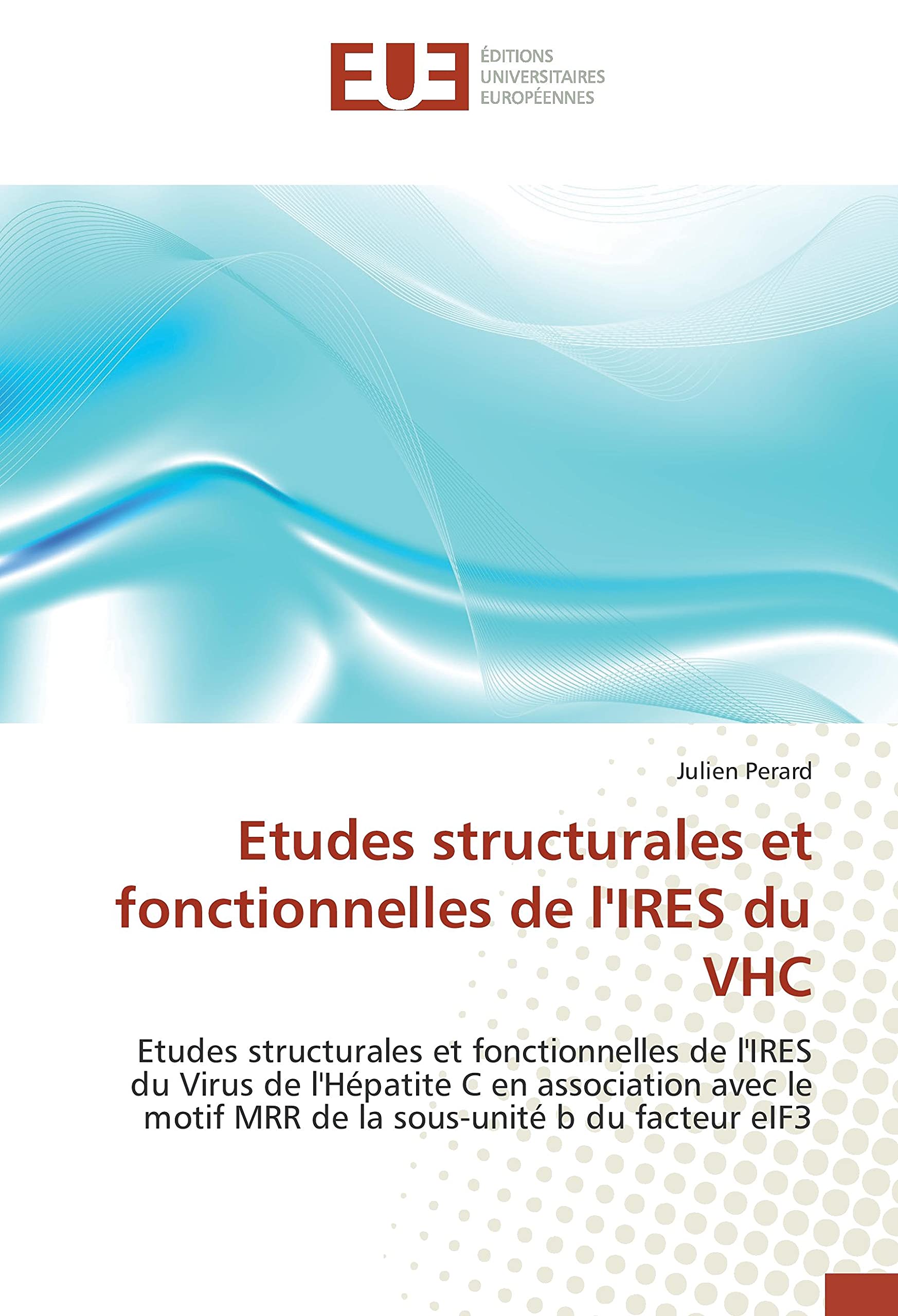 Etudes structurales et fonctionnelles de l'IRES du VHC: Etudes structurales et fonctionnelles de l'IRES du Virus de l'Hépatite C en association avec le motif MRR de la sous-unité b du facteur eIF3 book