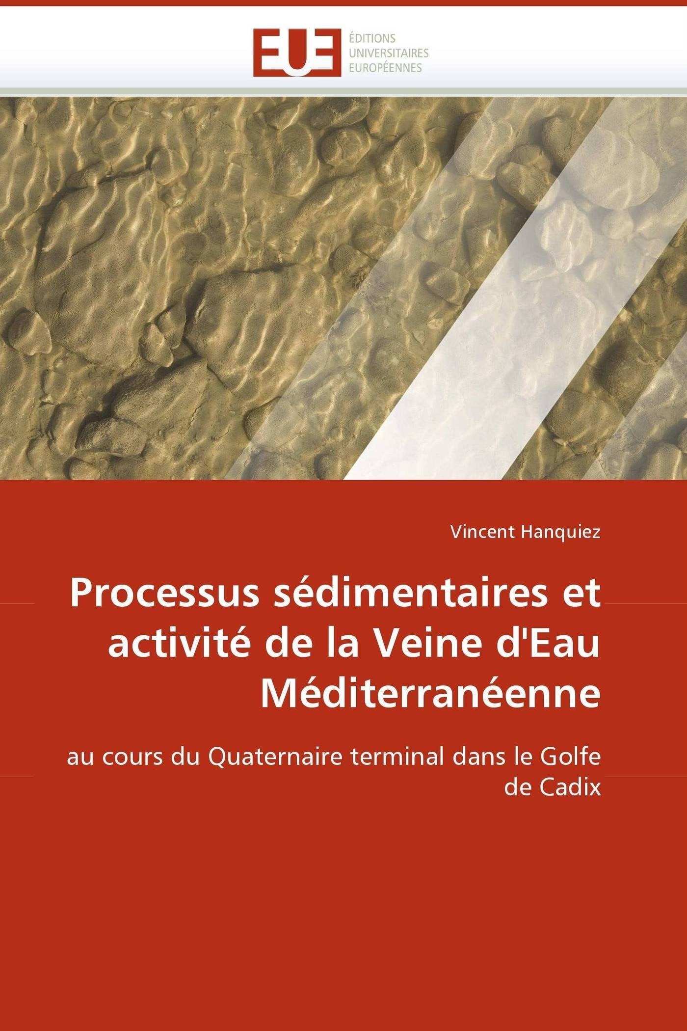Processus sédimentaires et activité de la Veine d'Eau Méditerranéenne: au cours du Quaternaire terminal dans le Golfe de Cadix book