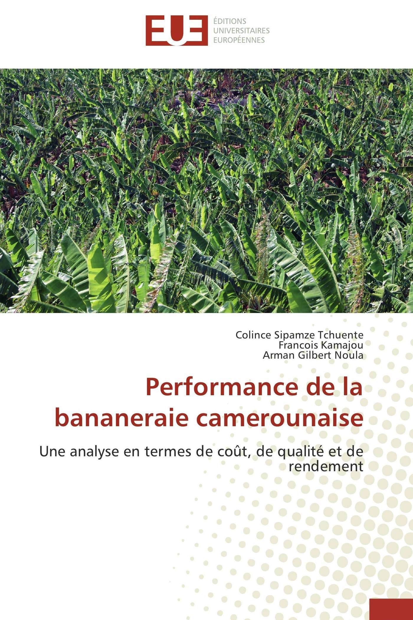 Performance de la bananeraie camerounaise: Une analyse en termes de coût, de qualité et de rendement book
