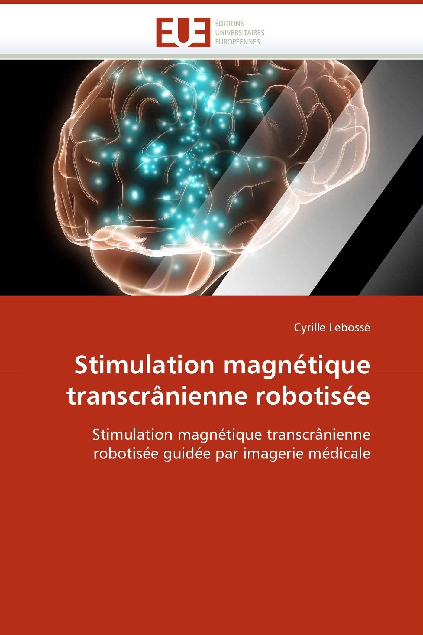 Stimulation magnétique transcrânienne robotisée: Stimulation magnétique transcrânienne robotisée guidée par imagerie médicale book