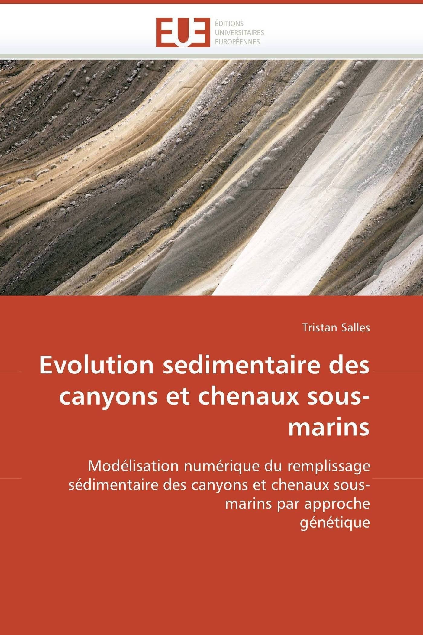 Evolution sedimentaire des canyons et chenaux sous-marins: Modélisation numérique du remplissage sédimentaire des canyons et chenaux sous-marins par approche génétique book