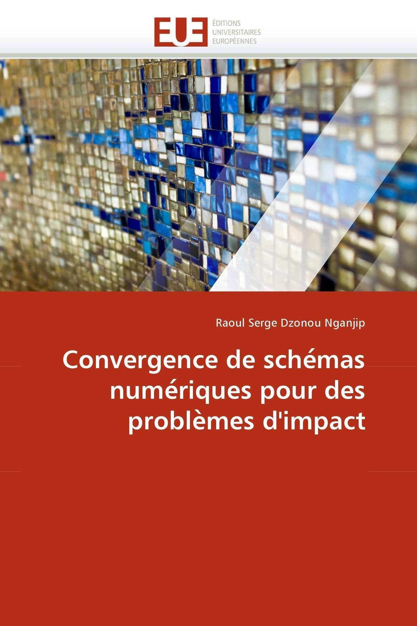 Convergence de sche?mas nume?riques pour des proble?mes d'impact book
