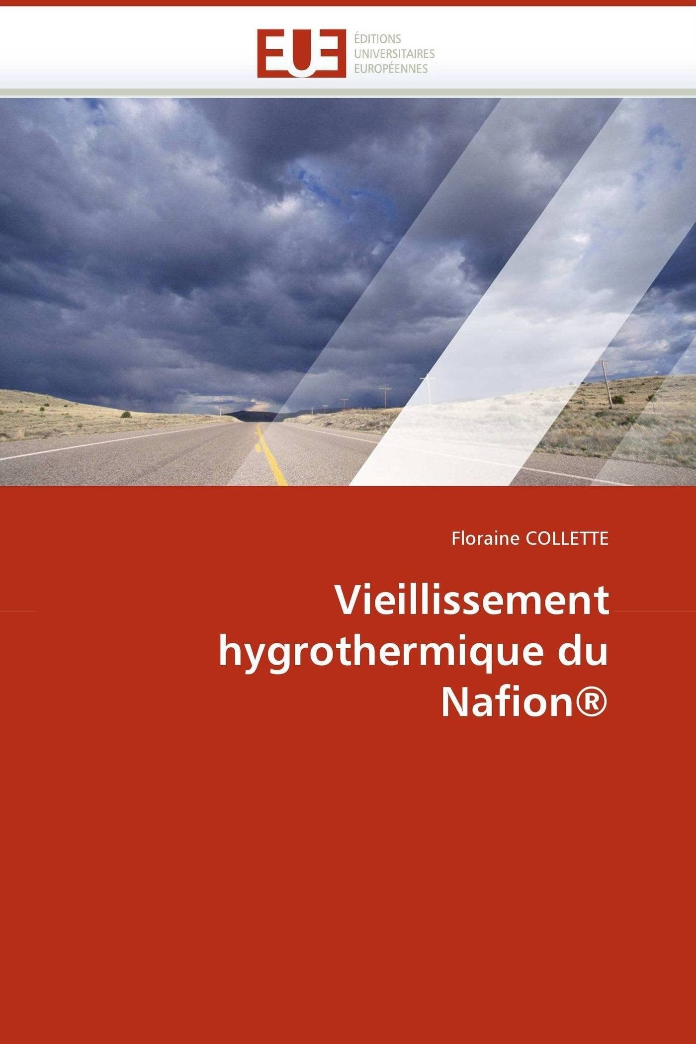 Vieillissement hygrothermique du nafion® book