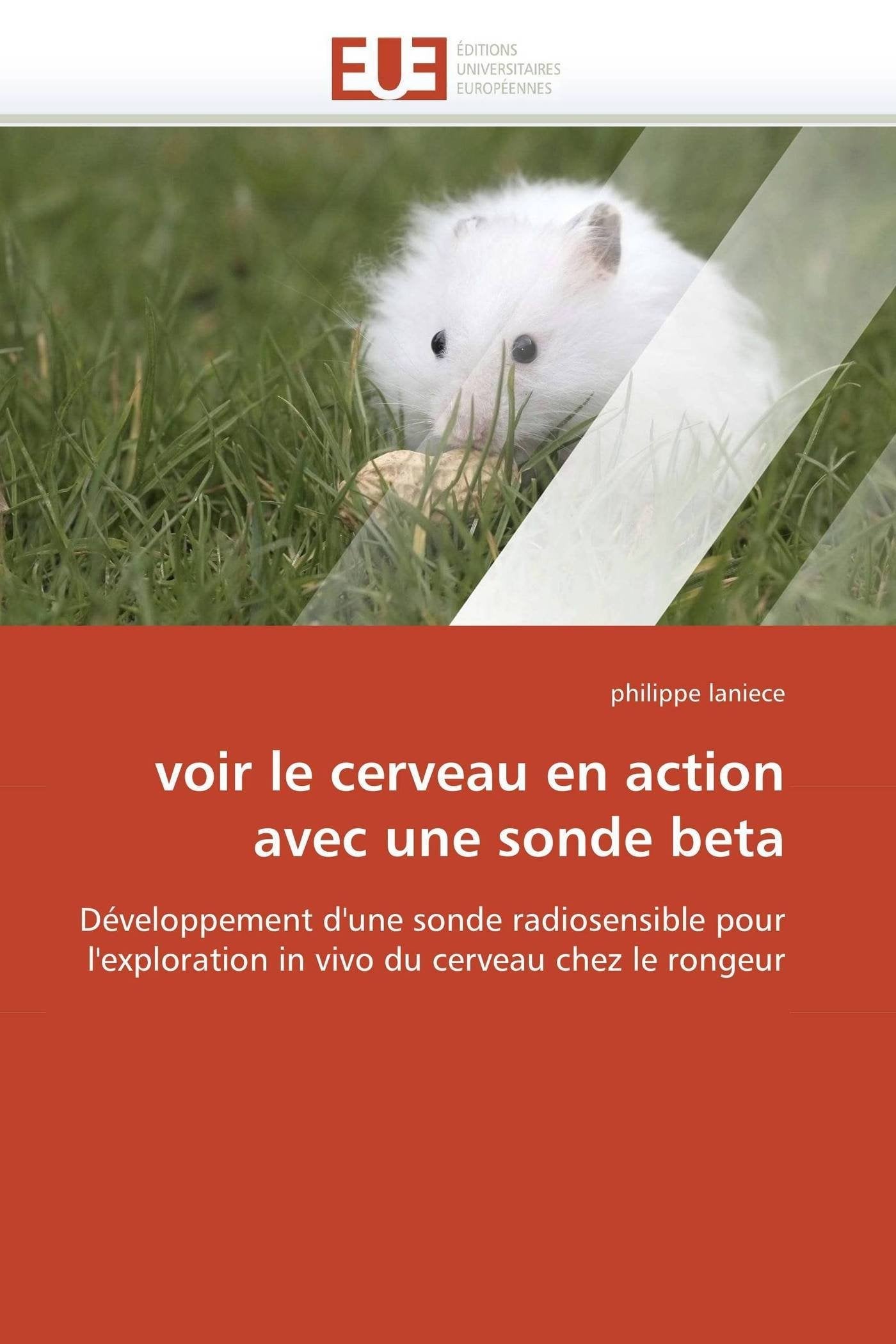 voir le cerveau en action avec une sonde beta: Développement d'une sonde radiosensible pour l'exploration in vivo du cerveau chez le rongeur book