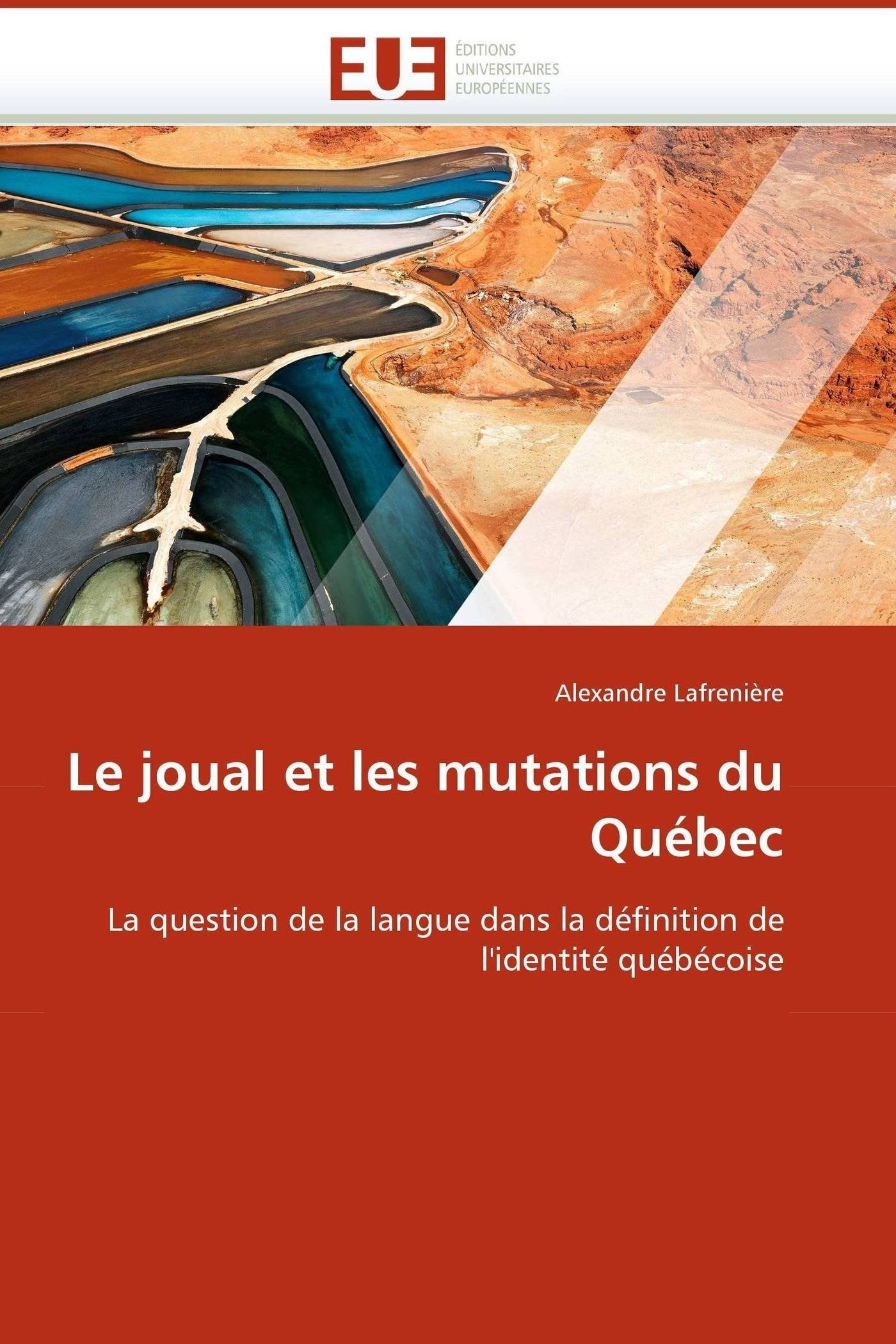 Le joual et les mutations du Québec: La question de la langue dans la définition de l'identité québécoise book