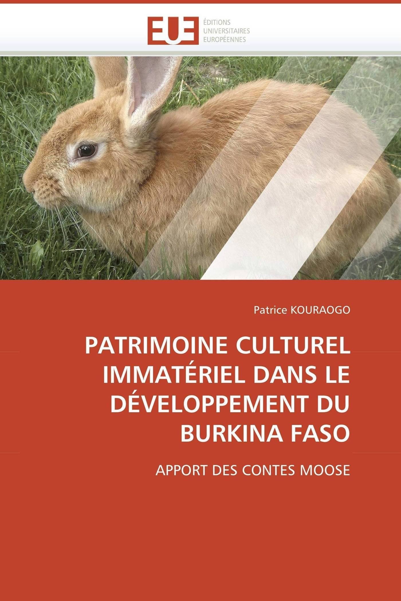 PATRIMOINE CULTUREL IMMATÉRIEL DANS LE DÉVELOPPEMENT DU BURKINA FASO: APPORT DES CONTES MOOSE book