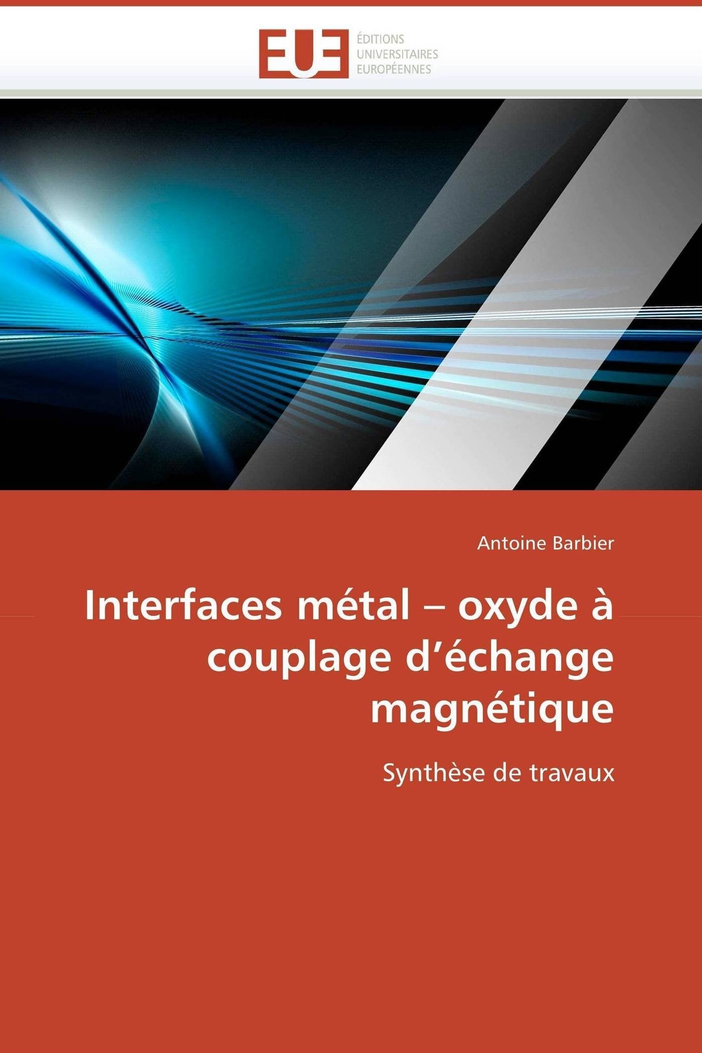 Interfaces métal – oxyde à couplage d’échange magnétique: Synthèse de travaux book