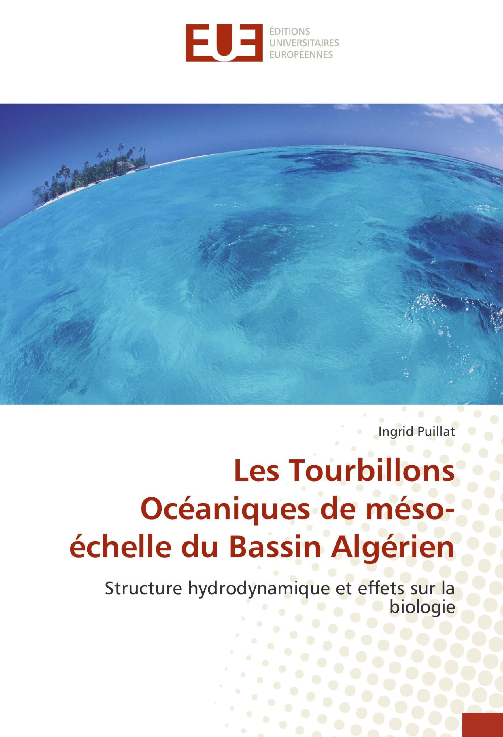 Les Tourbillons Océaniques de méso-échelle du Bassin Algérien book