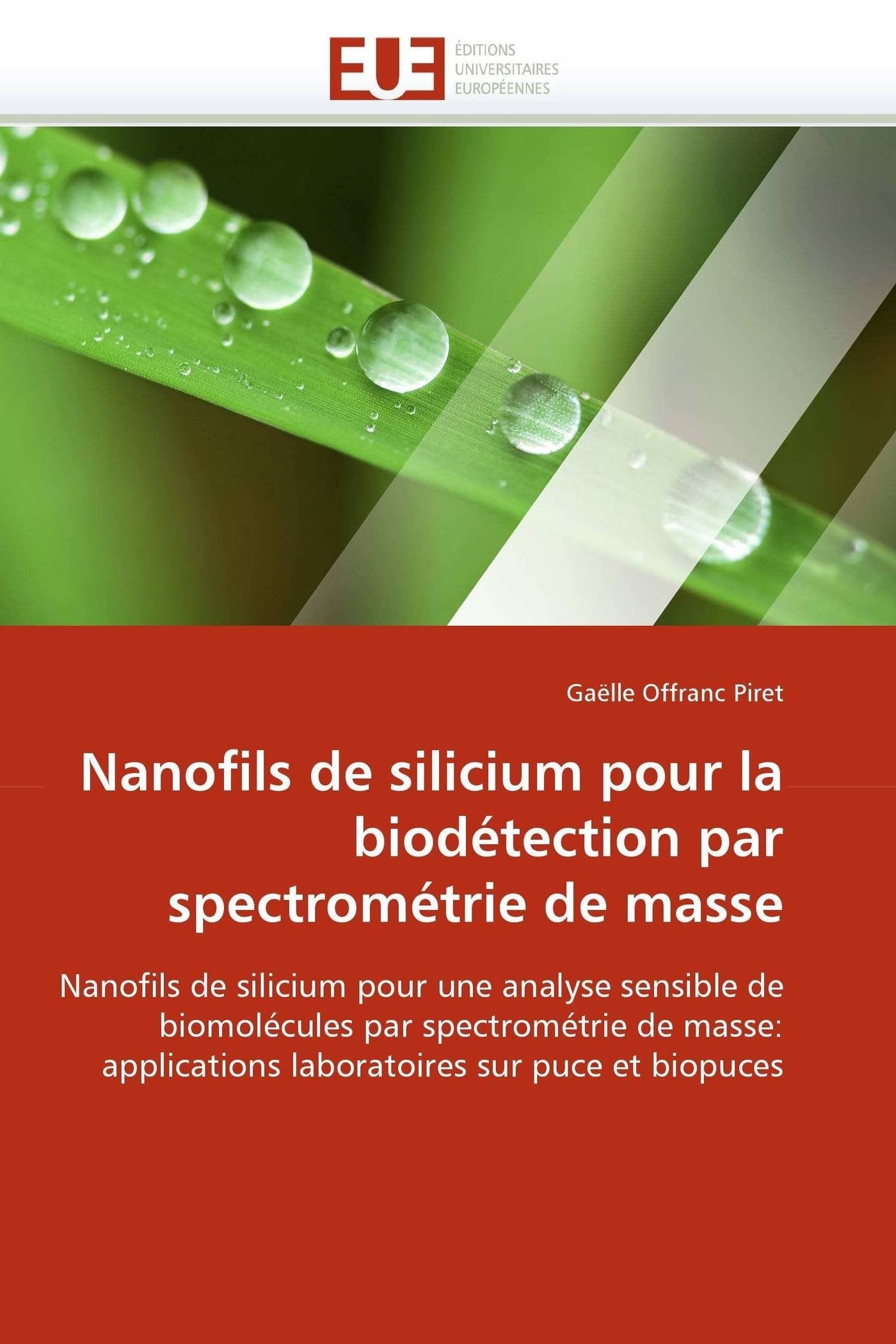 Nanofils de silicium pour la biodétection par spectrométrie de masse book