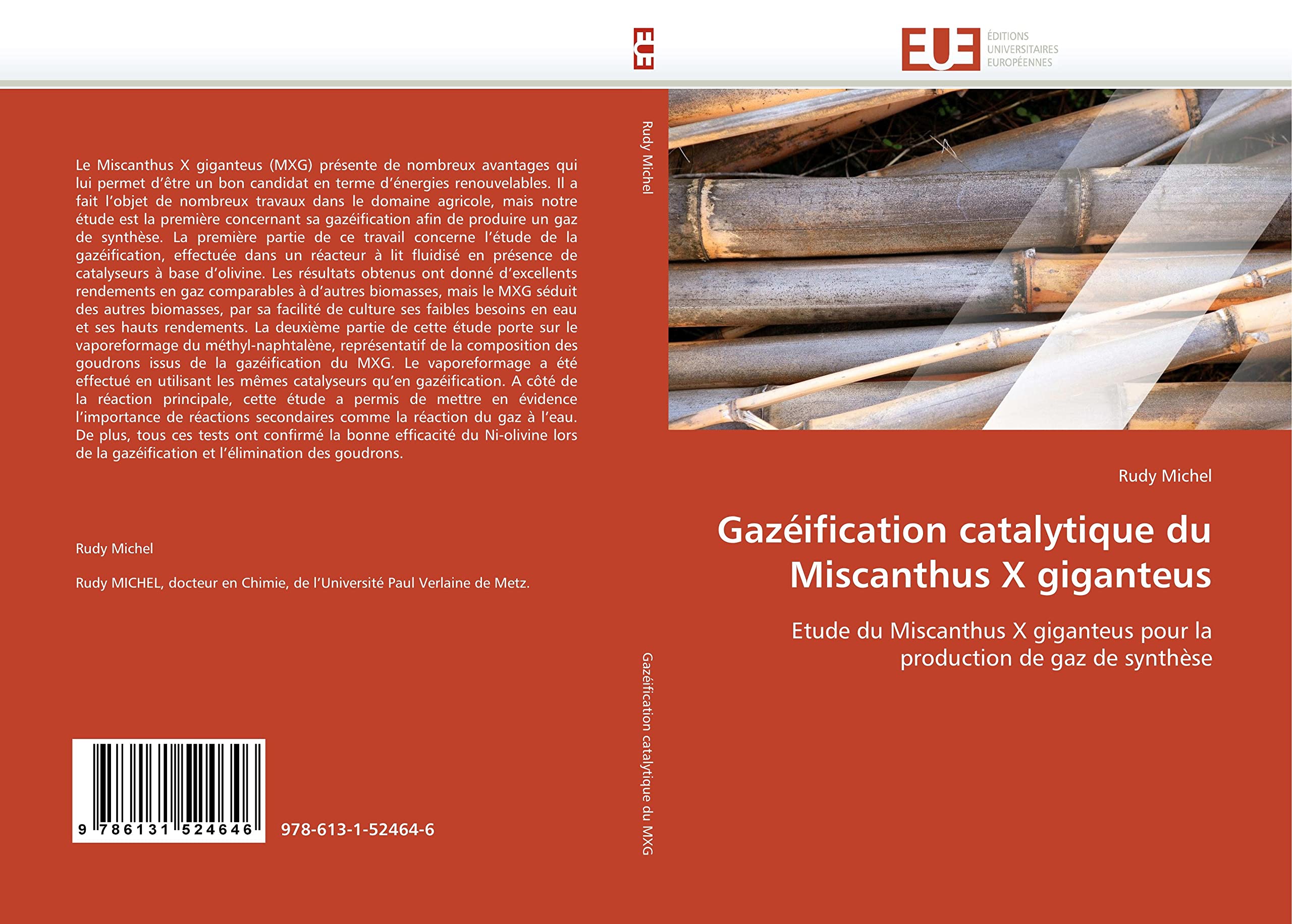 Gazéification catalytique du Miscanthus X giganteus: Etude du Miscanthus X giganteus pour la production de gaz de synthèse book