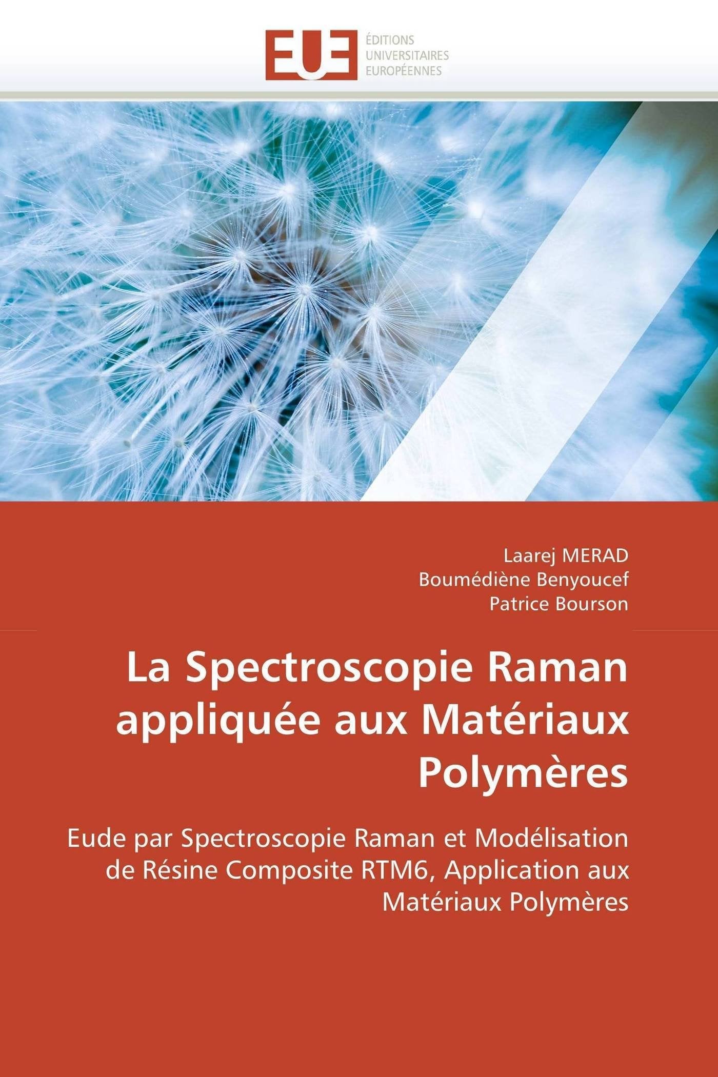 La Spectroscopie Raman appliquée aux Matériaux Polymères book