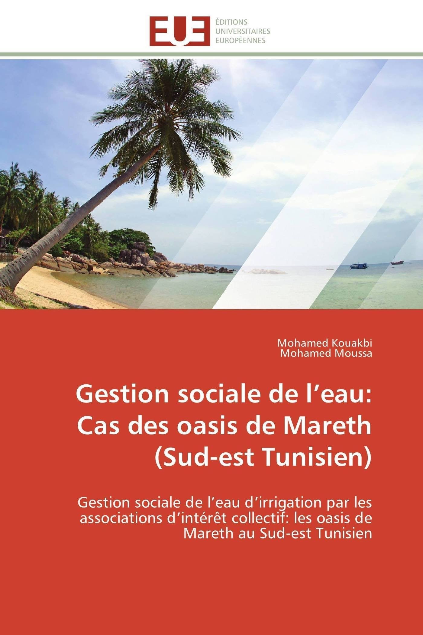 Gestion sociale de l’eau: Cas des oasis de Mareth (Sud-est Tunisien): Gestion sociale de l’eau d’irrigation par les associations d’intérêt collectif: les oasis de Mareth au Sud-est Tunisien book
