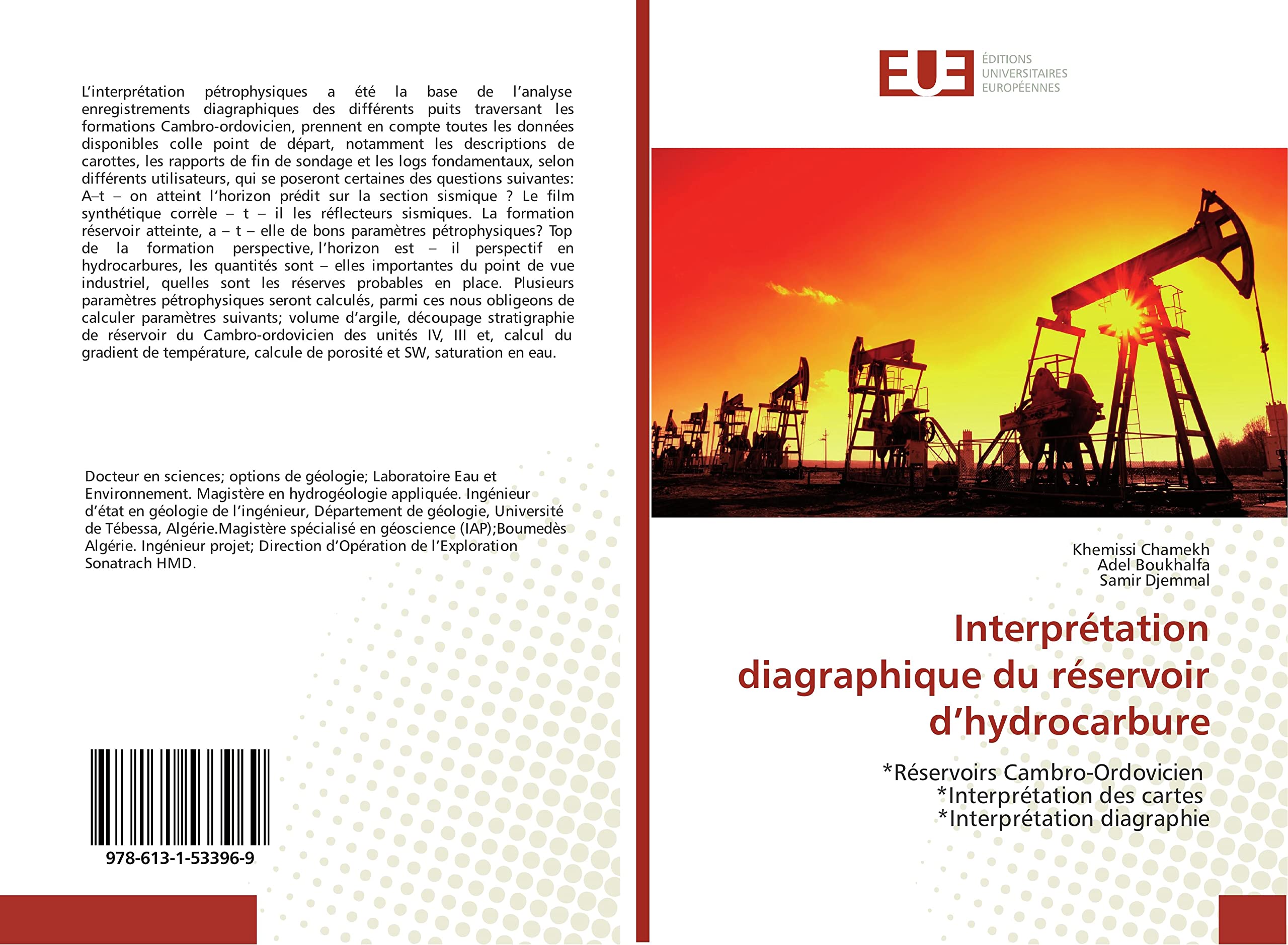 Interprétation diagraphique du réservoir d’hydrocarbure: *Réservoirs Cambro-Ordovicien *Interprétation des cartes *Interprétation diagraphie book