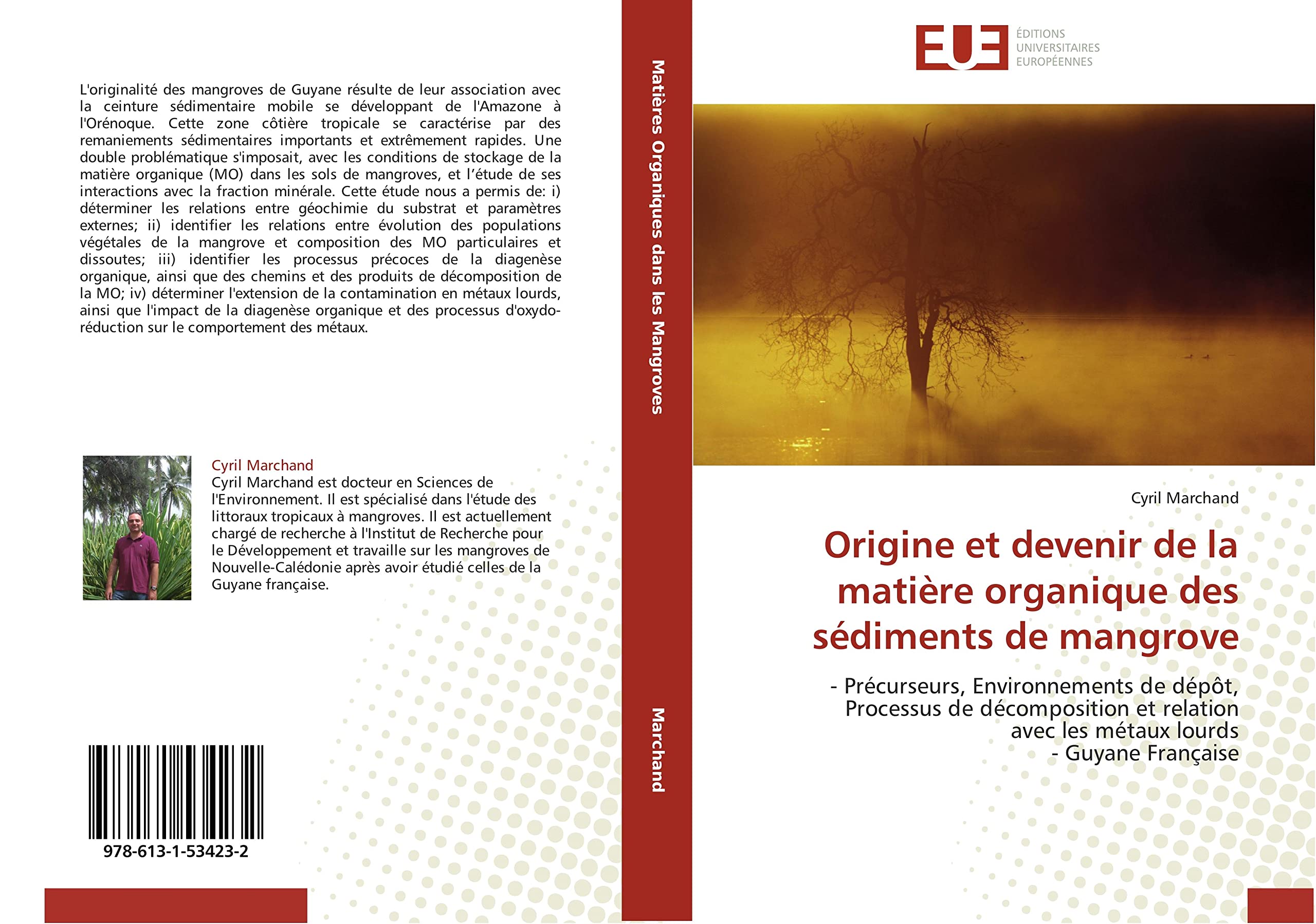 Origine et devenir de la matière organique des sédiments de mangrove book
