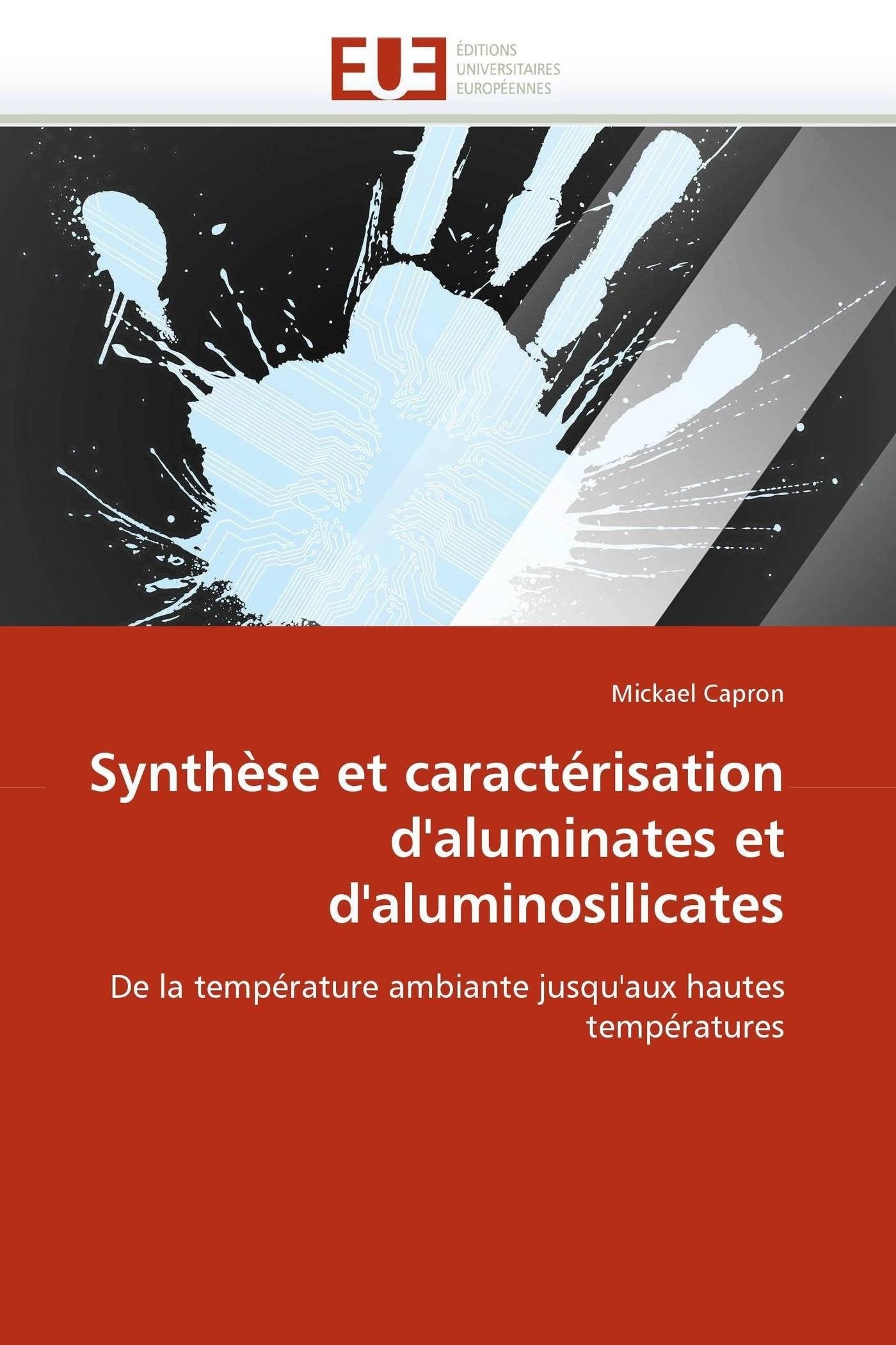 Synthèse et caractérisation d'aluminates et d'aluminosilicates: De la température ambiante jusqu'aux hautes températures book