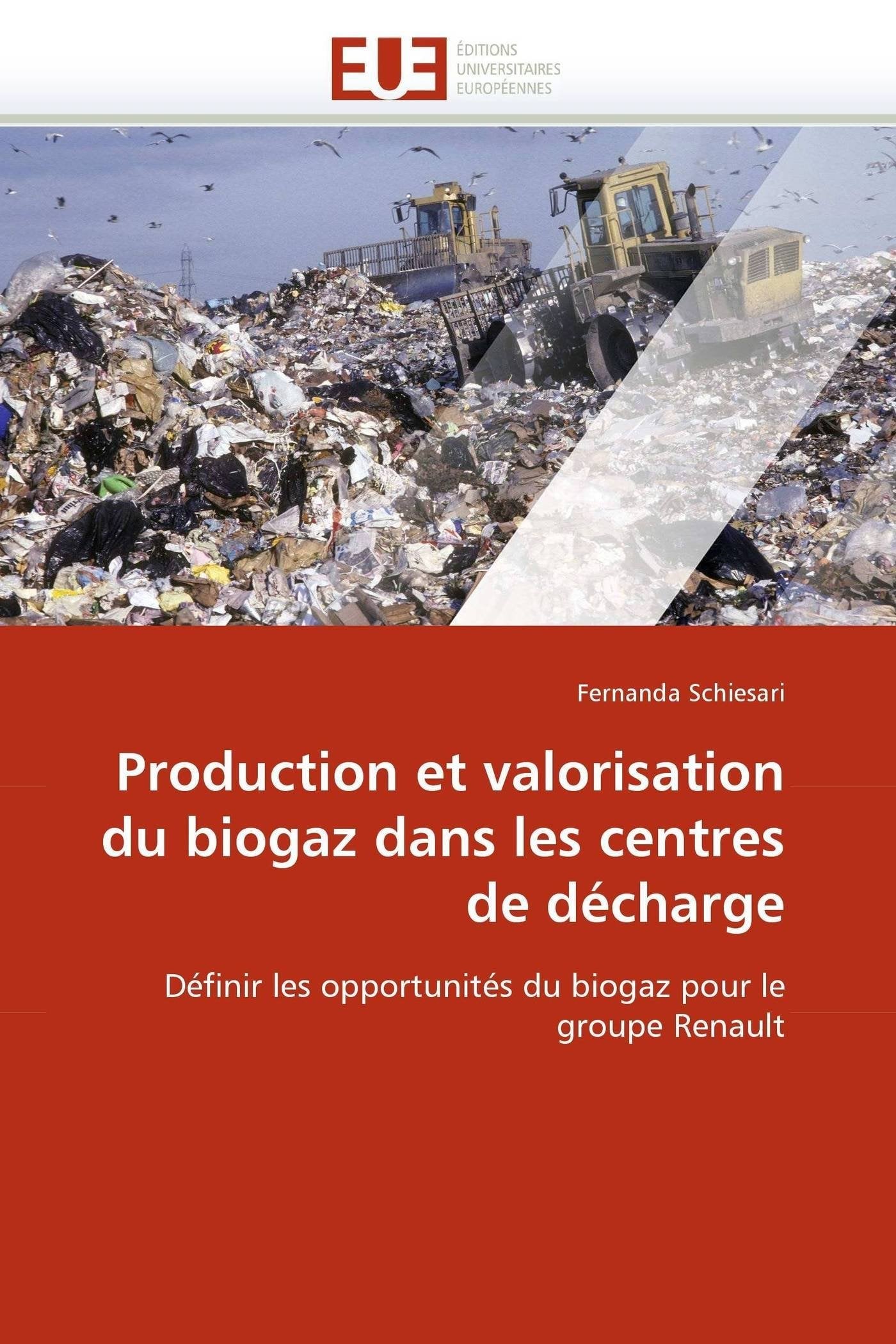 Production et valorisation du biogaz dans les centres de décharge: Définir les opportunités du biogaz pour le groupe Renault book
