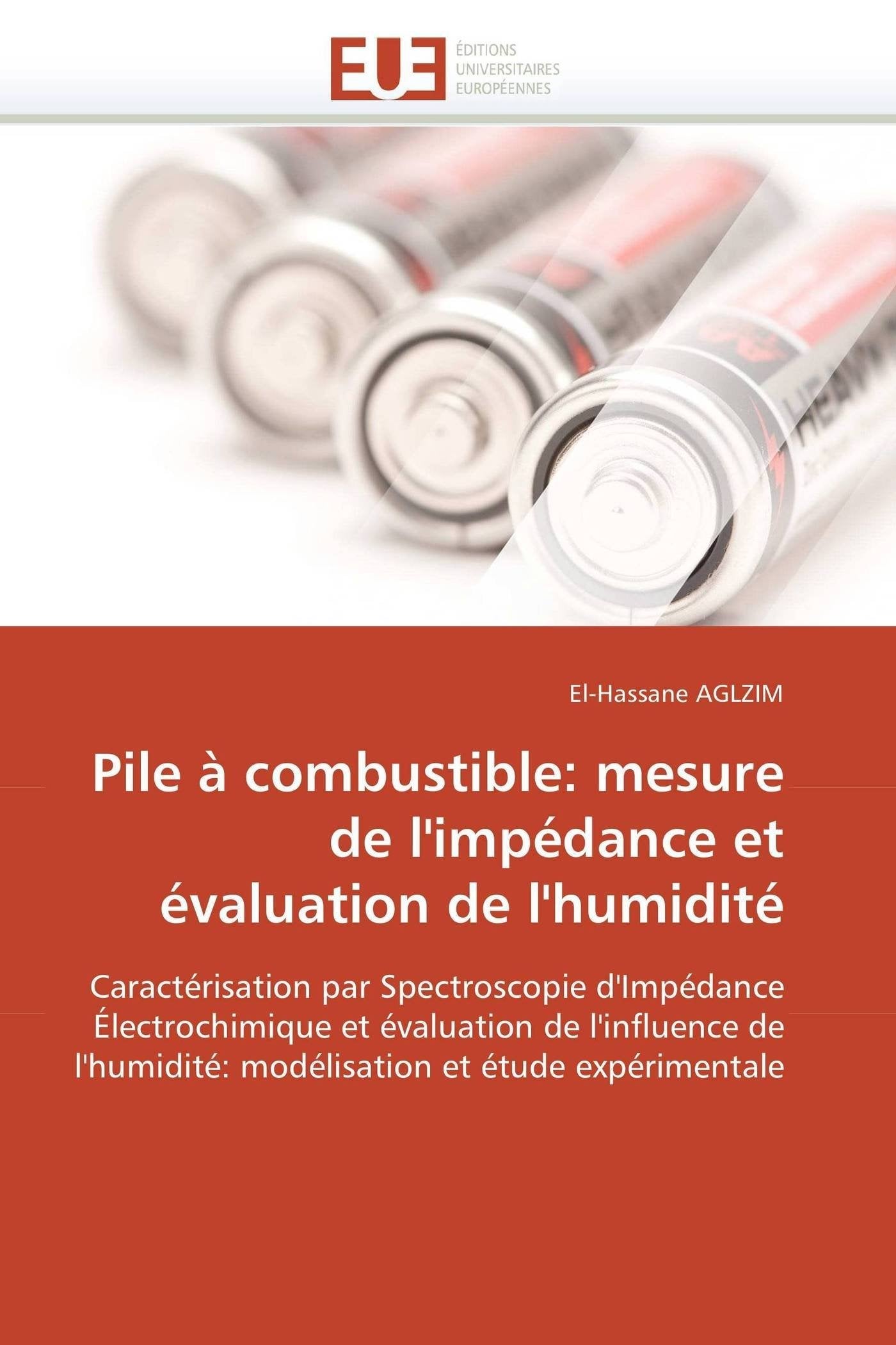 Pile à combustible: mesure de l'impédance et évaluation de l'humidité book
