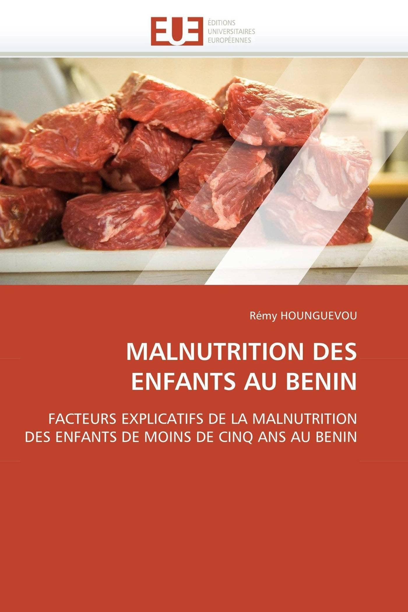 MALNUTRITION DES ENFANTS AU BENIN: FACTEURS EXPLICATIFS DE LA MALNUTRITION DES ENFANTS DE MOINS DE CINQ ANS AU BENIN book