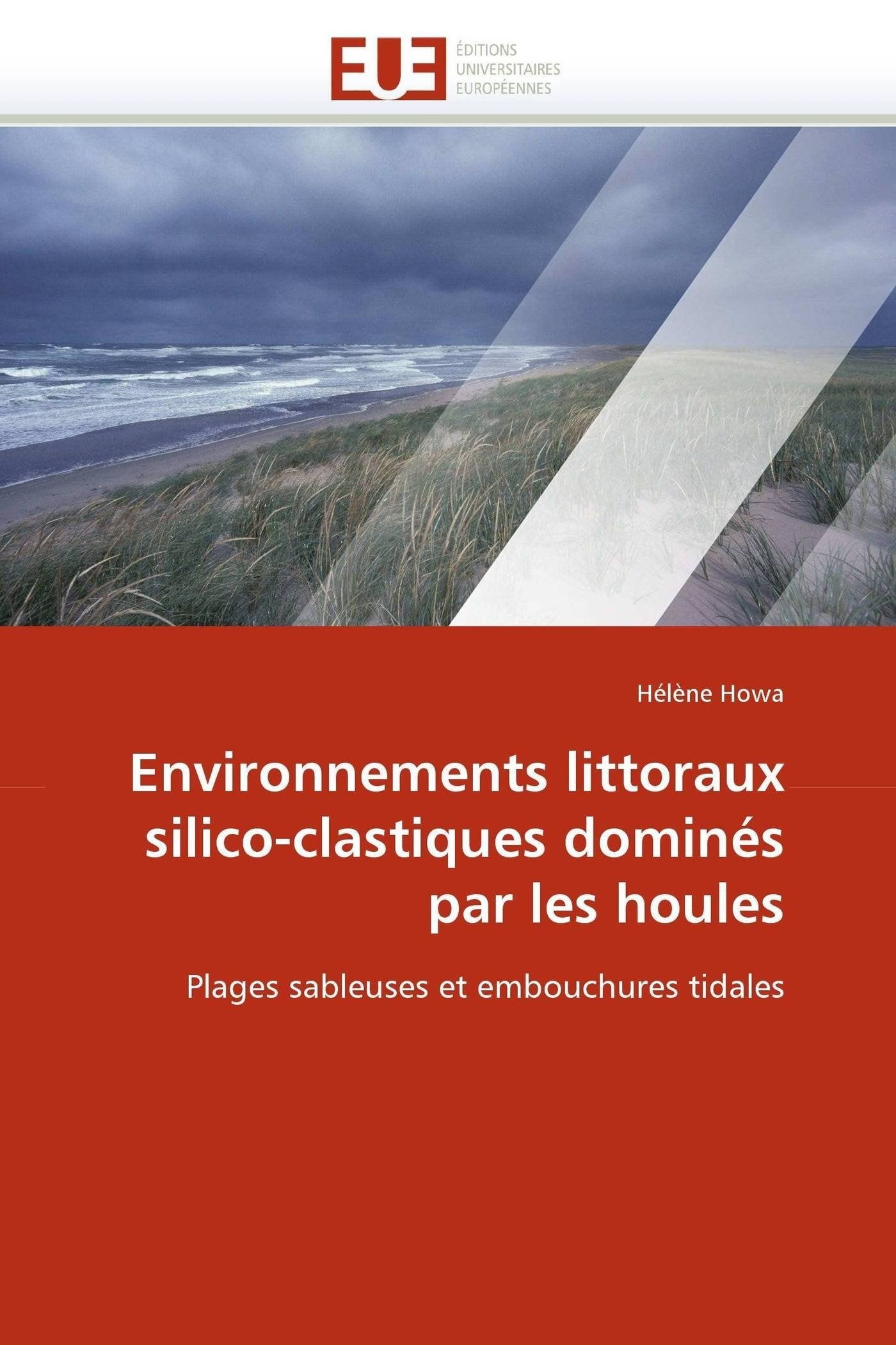 Environnements littoraux silico-clastiques dominés par les houles book