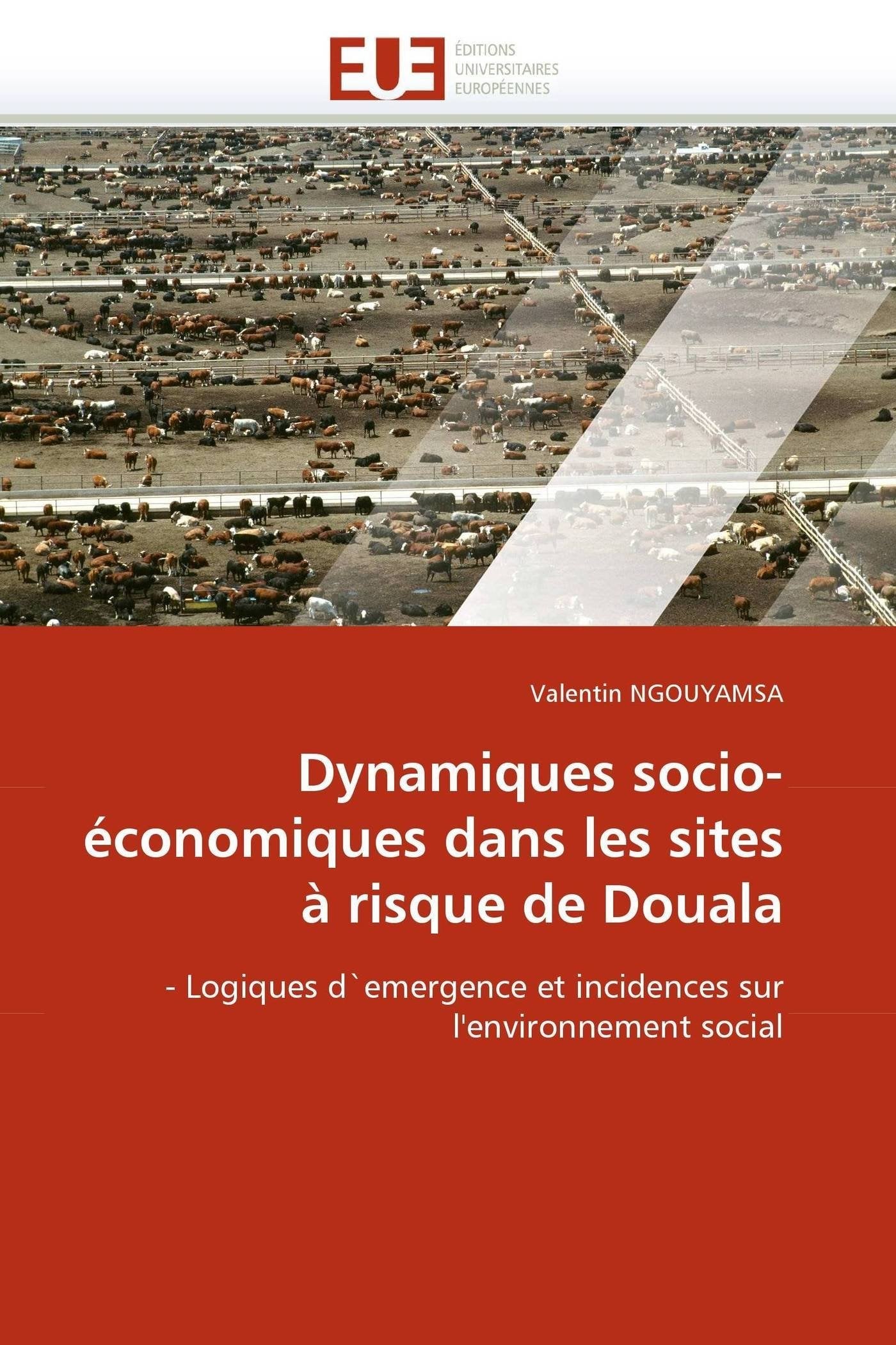 Dynamiques socio-économiques dans les sites à risque de Douala: - Logiques d'emergence et incidences sur l'environnement social book