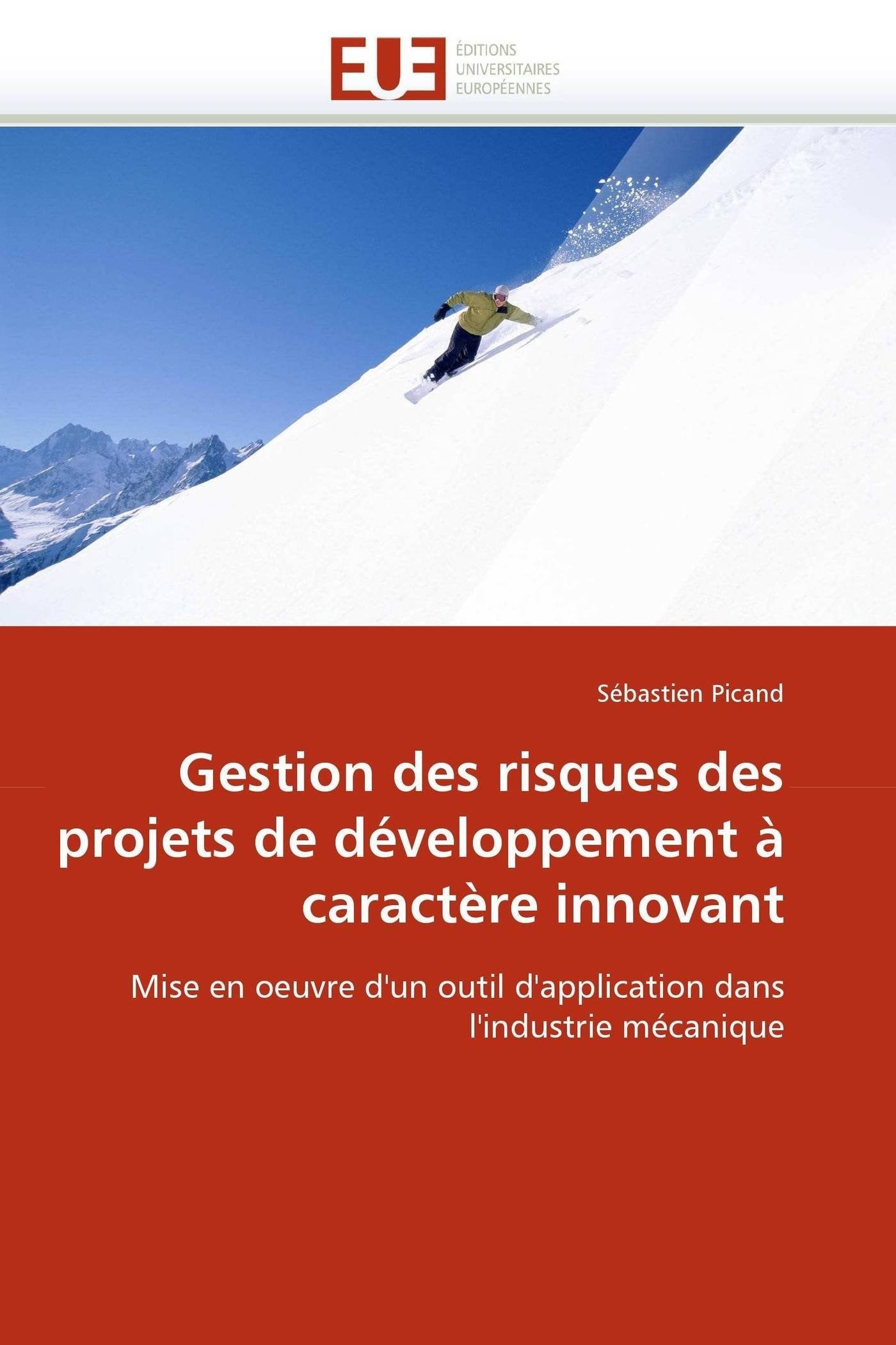 Gestion des risques des projets de développement à caractère innovant: Mise en oeuvre d'un outil d'application dans l'industrie mécanique book