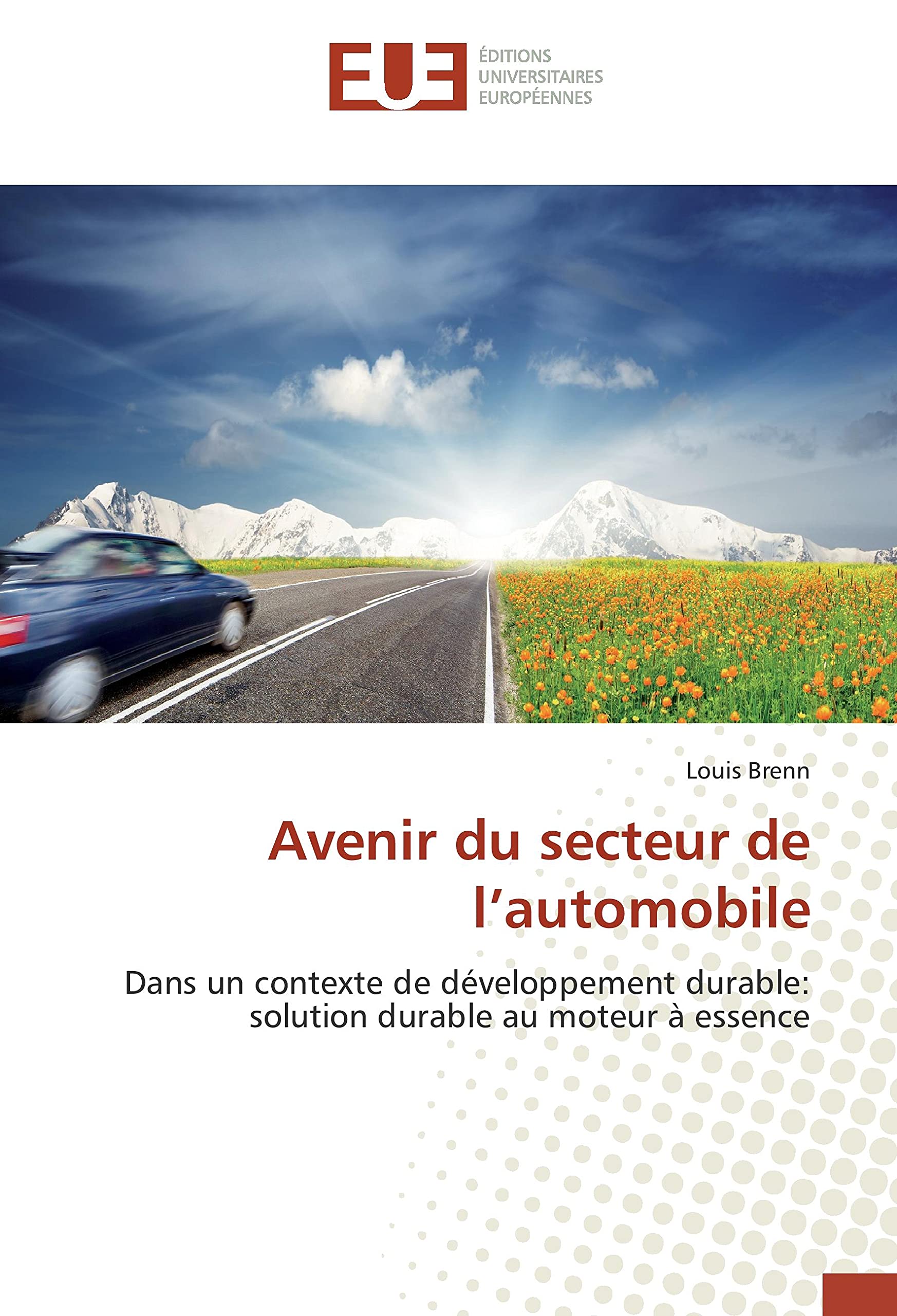 Avenir du secteur de l’automobile: Dans un contexte de développement durable: solution durable au moteur à essence book