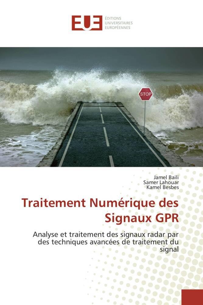 Traitement Numérique des Signaux GPR: Analyse et traitement des signaux radar par des techniques avancées de traitement du signal book