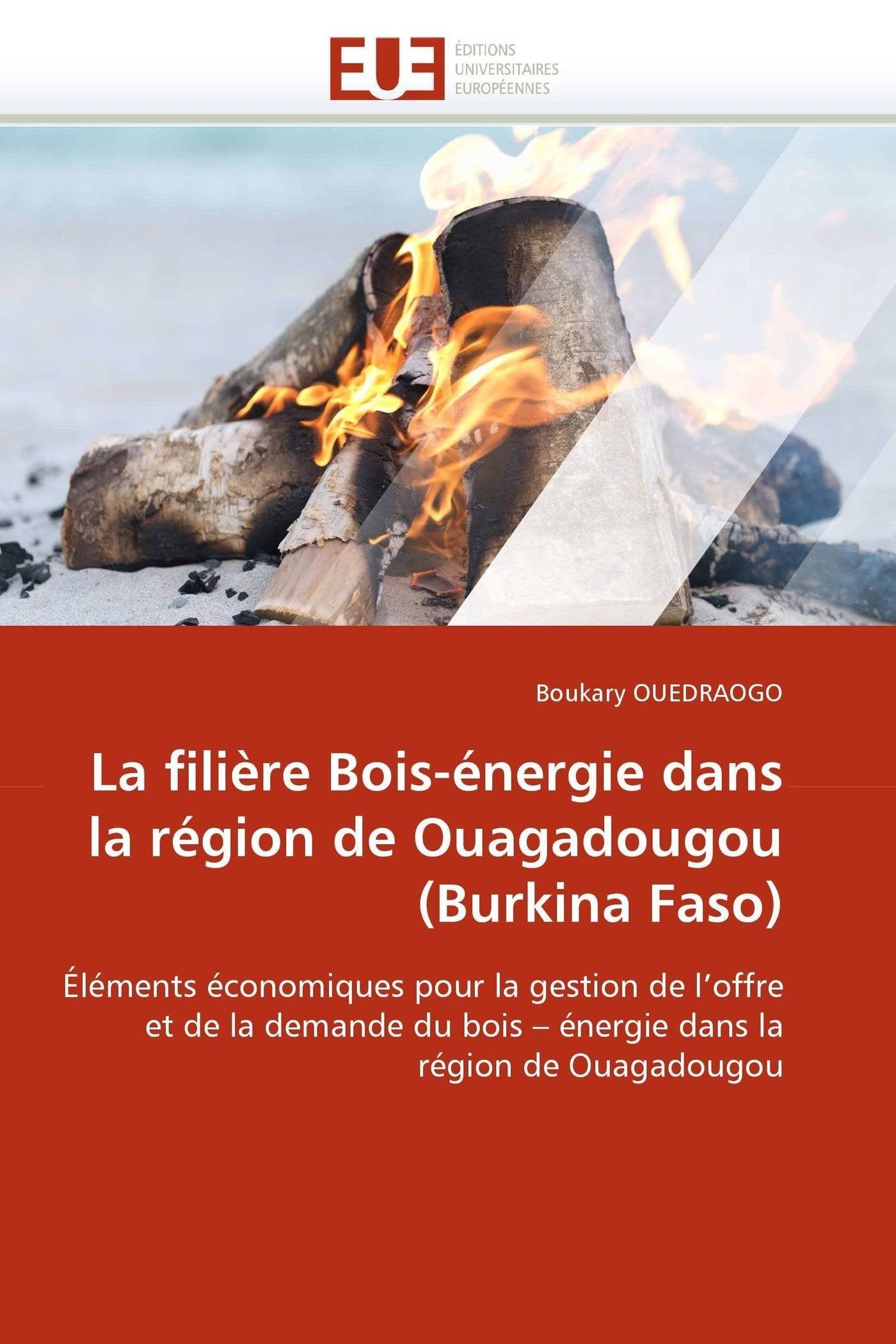 La filière Bois-énergie dans la région de Ouagadougou (Burkina Faso): Éléments économiques pour la gestion de l'offre et de la demande du bois ? énergie dans la région de Ouagadougou book