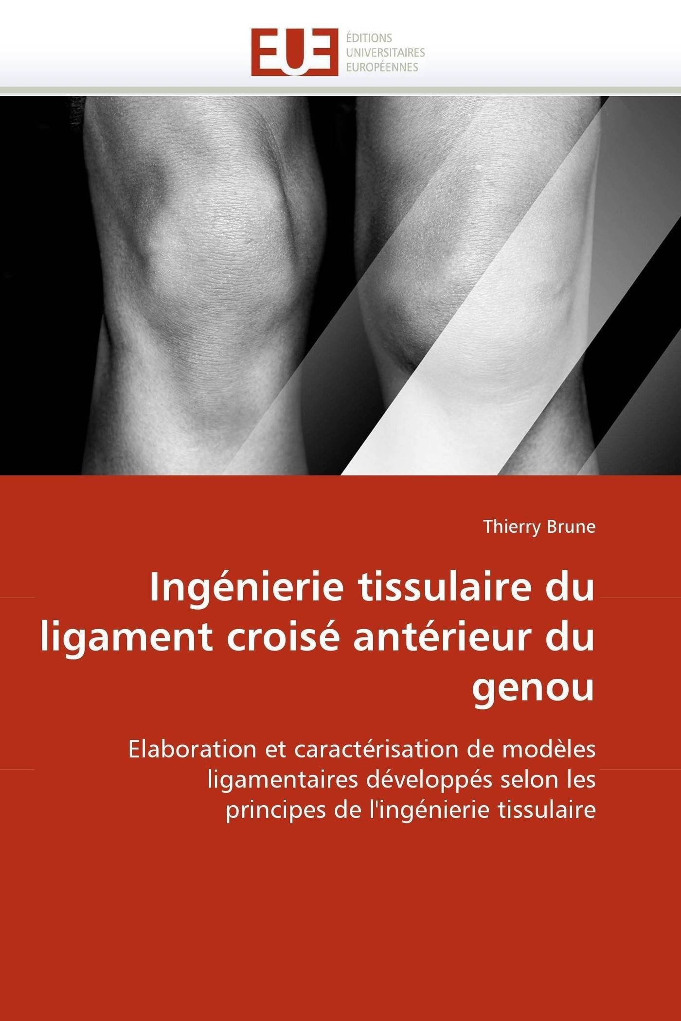 Ingénierie tissulaire du ligament croisé antérieur du genou: Elaboration et caractérisation de modèles ligamentaires développés selon les principes de l'ingénierie tissulaire book