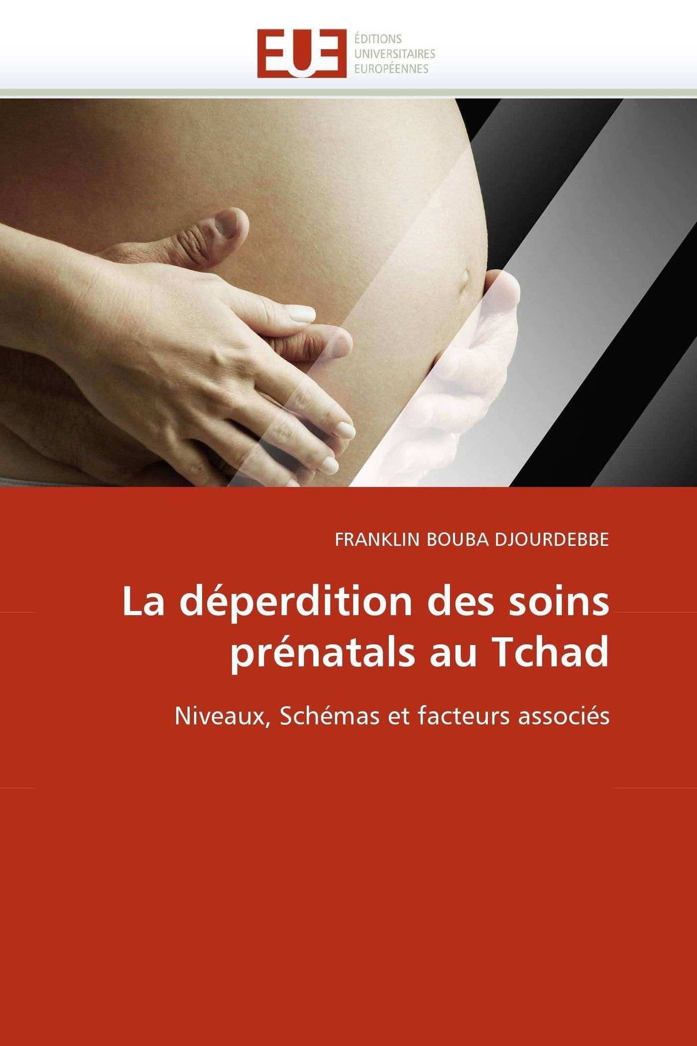 La déperdition des soins prénatals au Tchad: Niveaux, Schémas et facteurs associés book