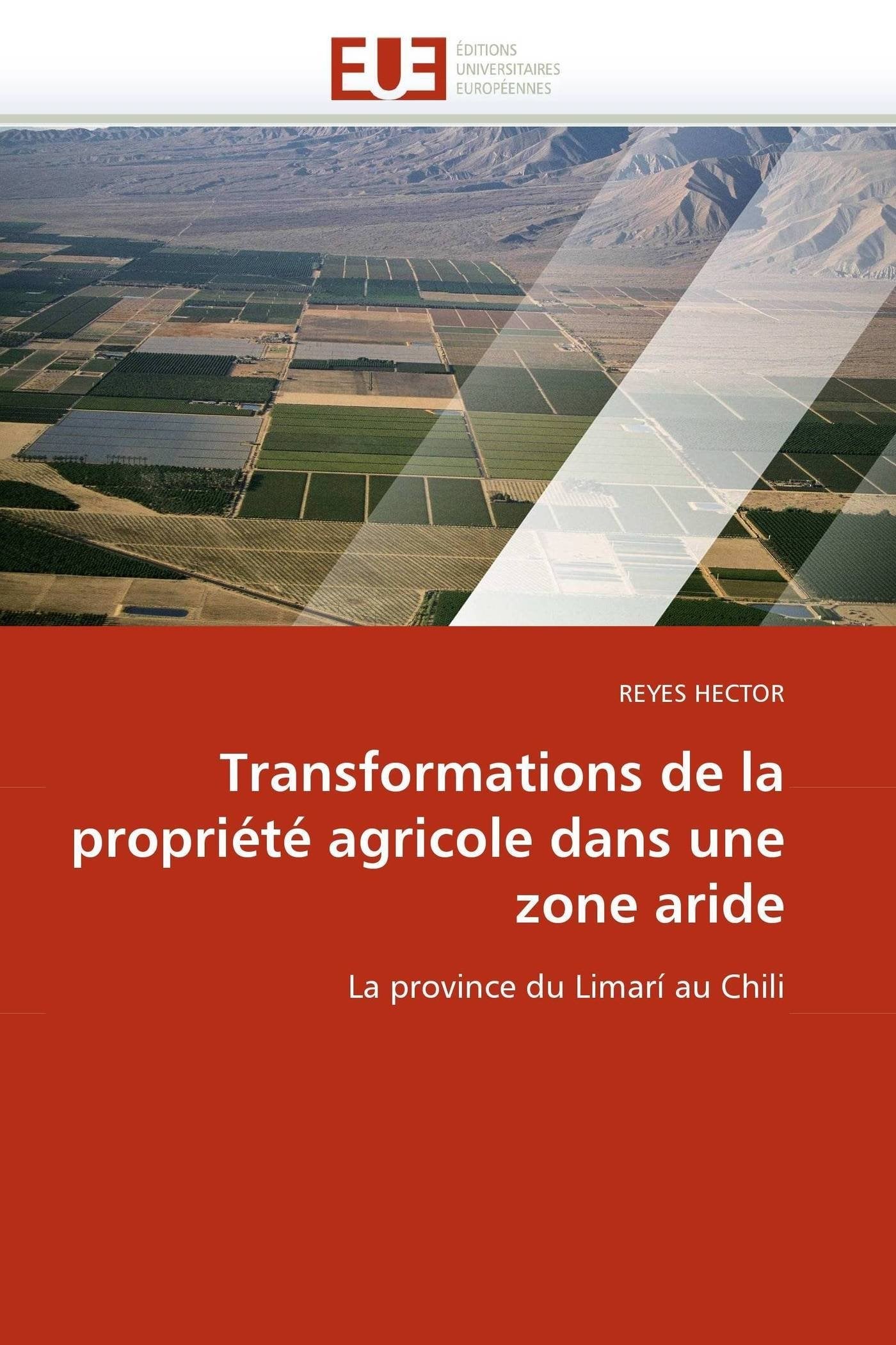 Transformations de la propriété agricole dans une zone aride: La province du Limarí au Chili book