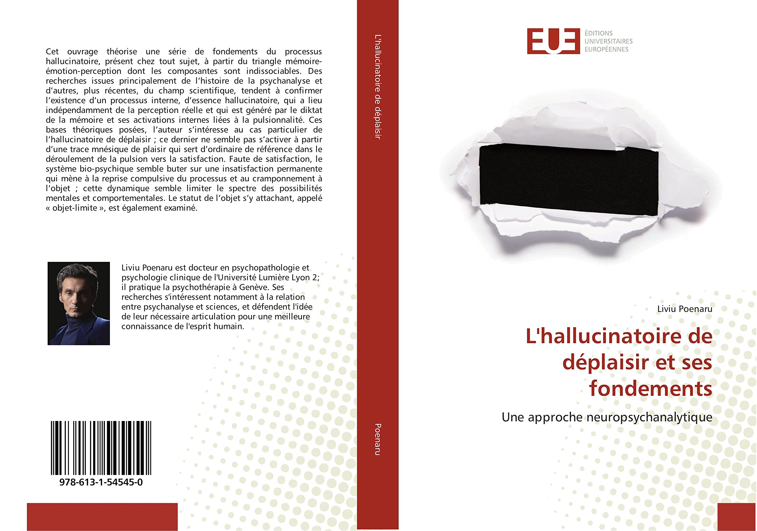 L'hallucinatoire de déplaisir et ses fondements: Une approche neuropsychanalytique book