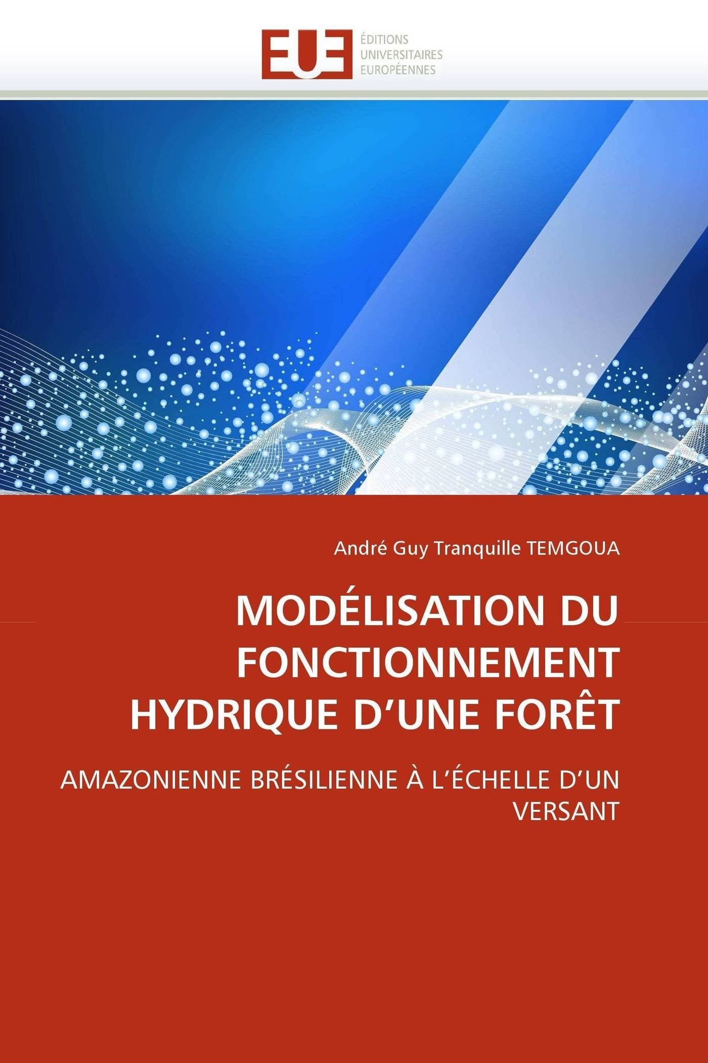 MODÉLISATION DU FONCTIONNEMENT HYDRIQUE D'UNE FORÊT: AMAZONIENNE BRÉSILIENNE À L'ÉCHELLE D'UN VERSANT book