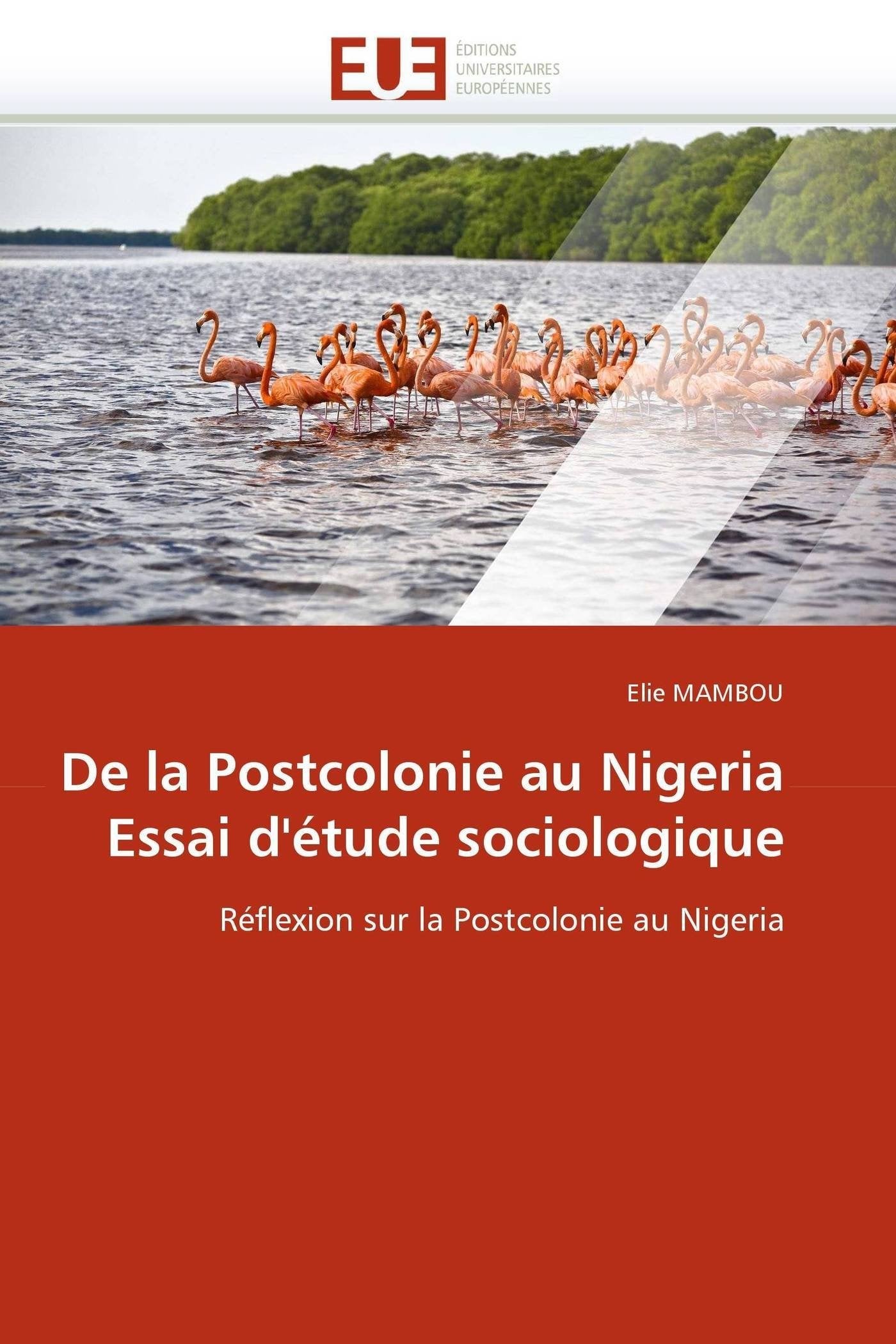 De la Postcolonie au Nigeria Essai d'étude sociologique: Réflexion sur la Postcolonie au Nigeria book