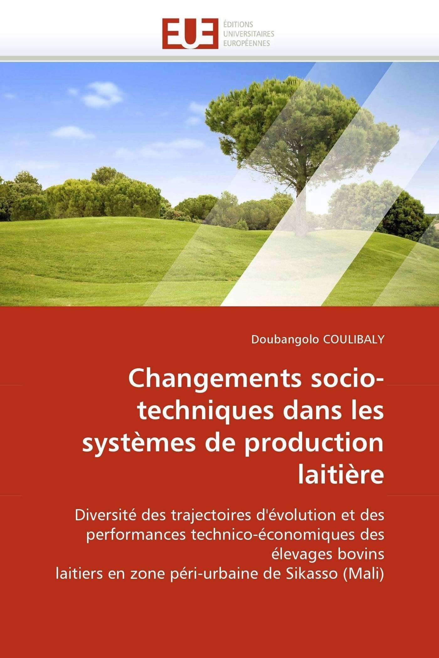 Changements socio-techniques dans les systèmes de production laitière book