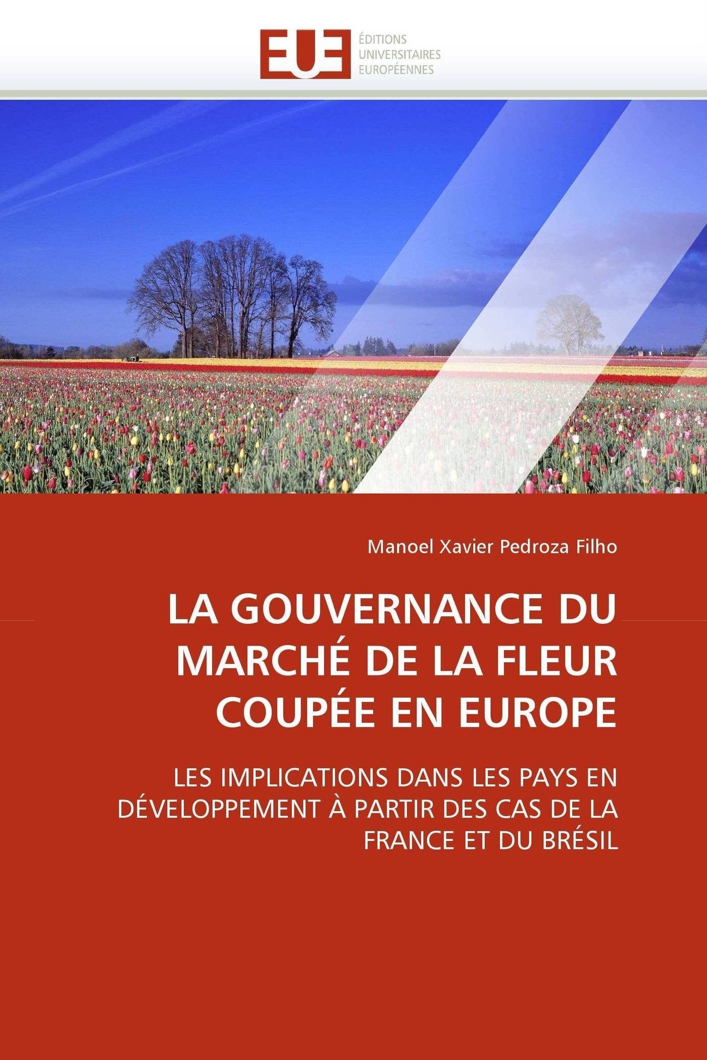LA GOUVERNANCE DU MARCHÉ DE LA FLEUR COUPÉE EN EUROPE: LES IMPLICATIONS DANS LES PAYS EN DÉVELOPPEMENT À PARTIR DES CAS DE LA FRANCE ET DU BRÉSIL book