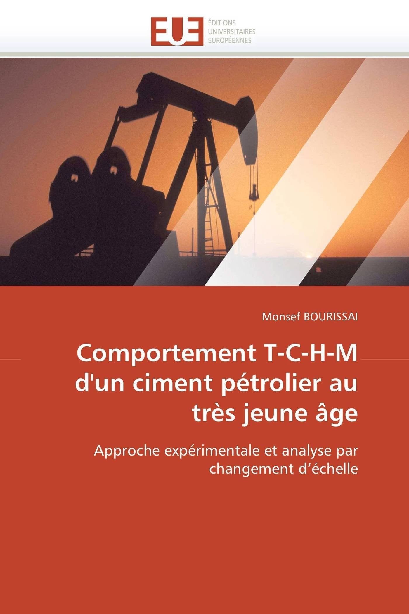 Comportement T-C-H-M d'un ciment pétrolier au très jeune âge: Approche expérimentale et analyse par changement d'échelle book