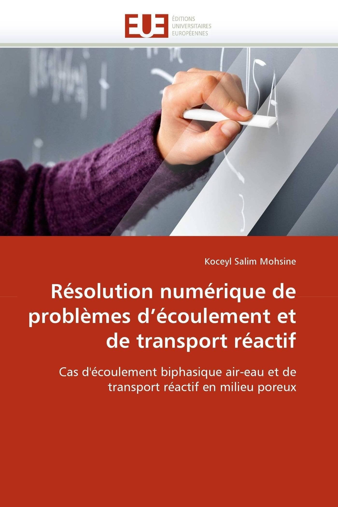 Résolution numérique de problèmes d'écoulement et de transport réactif: Cas d'écoulement biphasique air-eau et de transport réactif en milieu poreux book