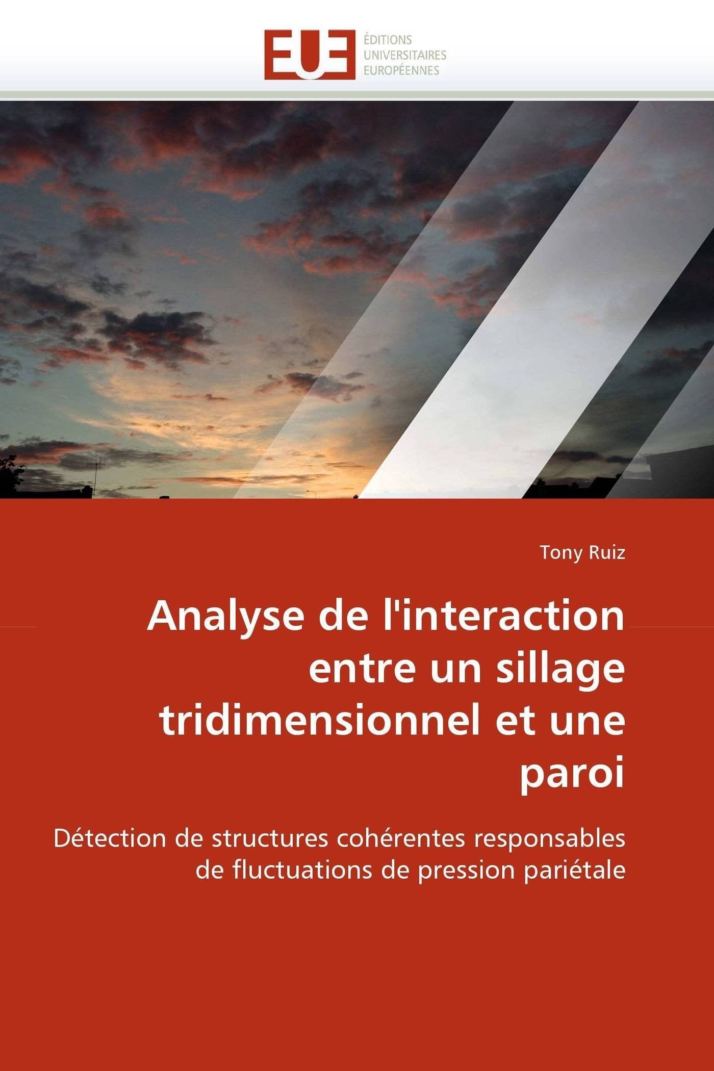 Analyse de l'interaction entre un sillage tridimensionnel et une paroi: Détection de structures cohérentes responsables de fluctuations de pression pariétale book