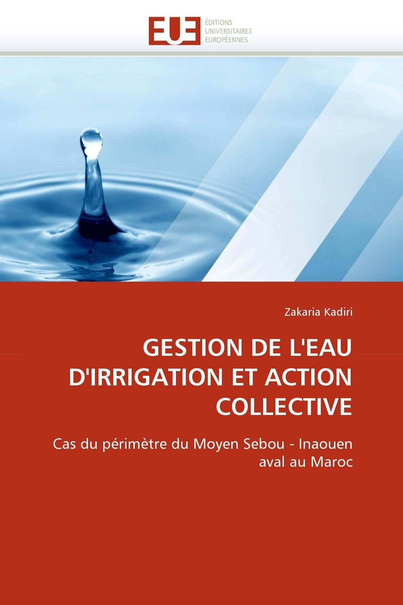 GESTION DE L'EAU D'IRRIGATION ET ACTION COLLECTIVE: Cas du périmètre du Moyen Sebou - Inaouen aval au Maroc book