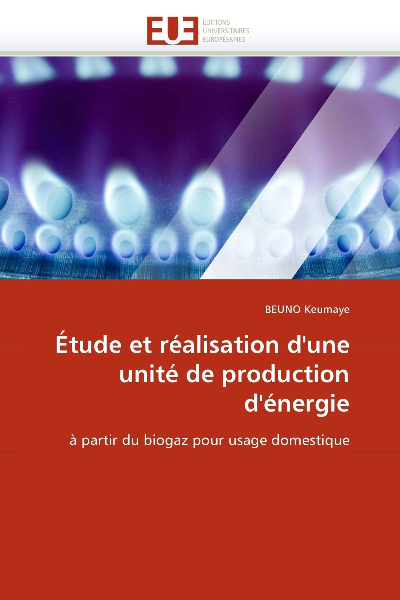 Étude et réalisation d'une unité de production d'énergie: à partir du biogaz pour usage domestique book