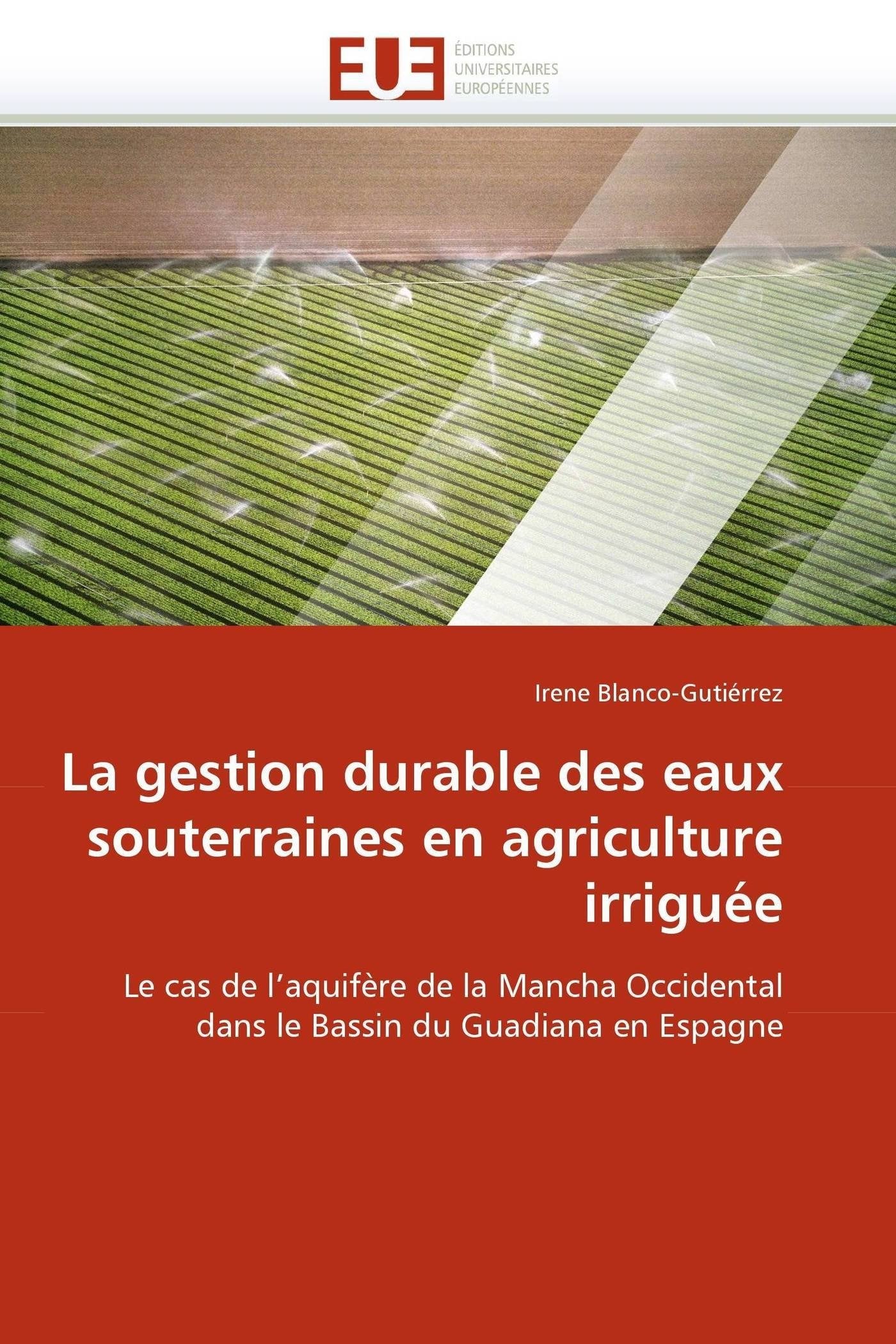 La gestion durable des eaux souterraines en agriculture irriguée: Le cas de l'aquifère de la Mancha Occidental dans le Bassin du Guadiana en Espagne book